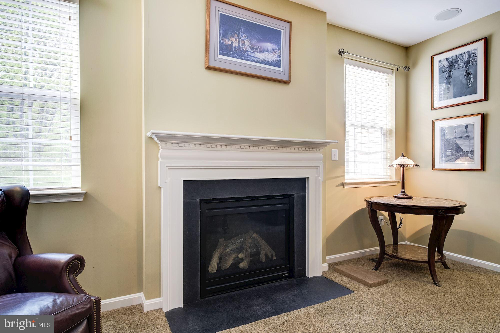 821 Tall Grass Road Westminster, MD 21157 - Photo 14 of 61 Family Room | Fireplace