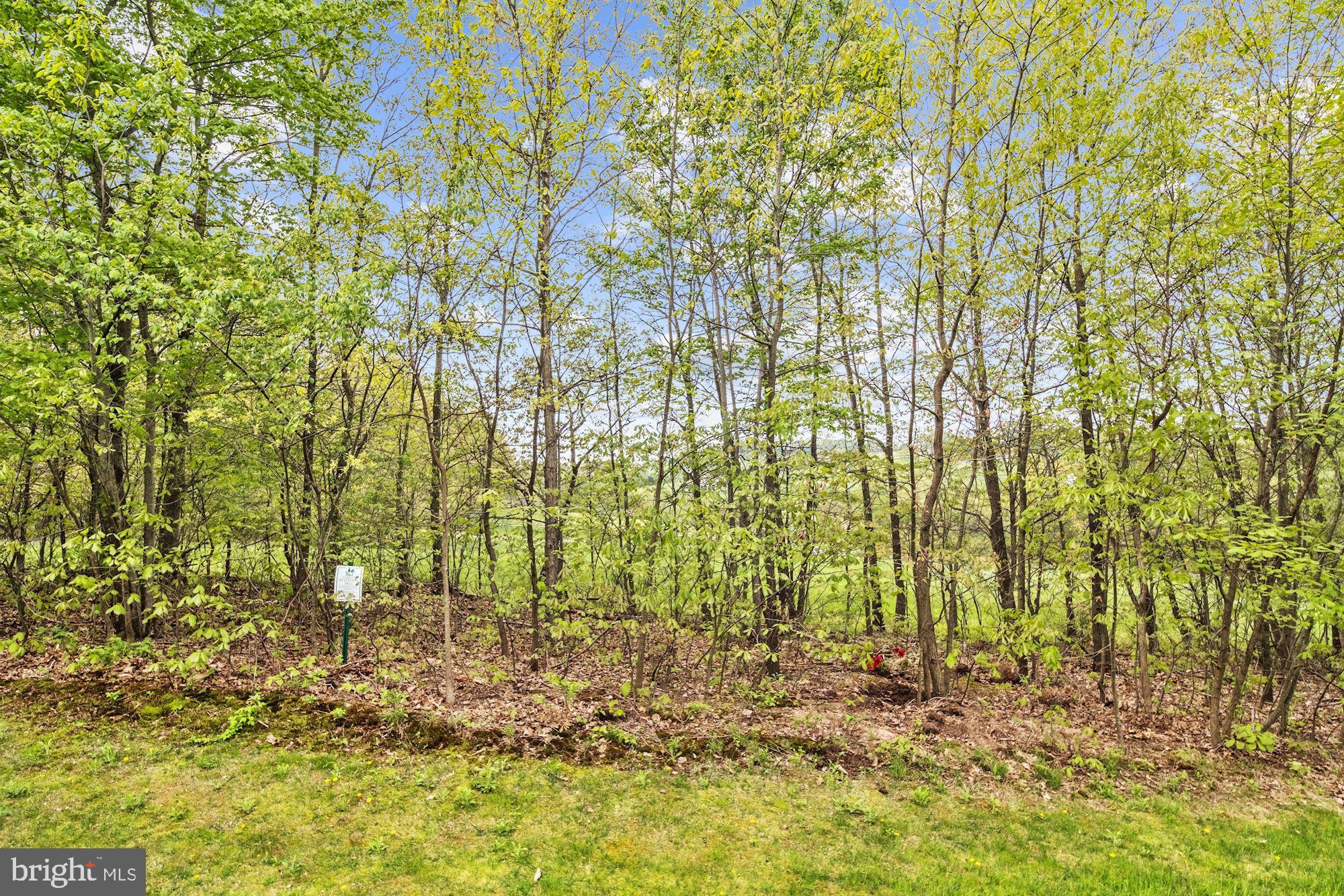 821 Tall Grass Road Westminster, MD 21157 - Photo 53 of 61 Backs to Nature Preserve