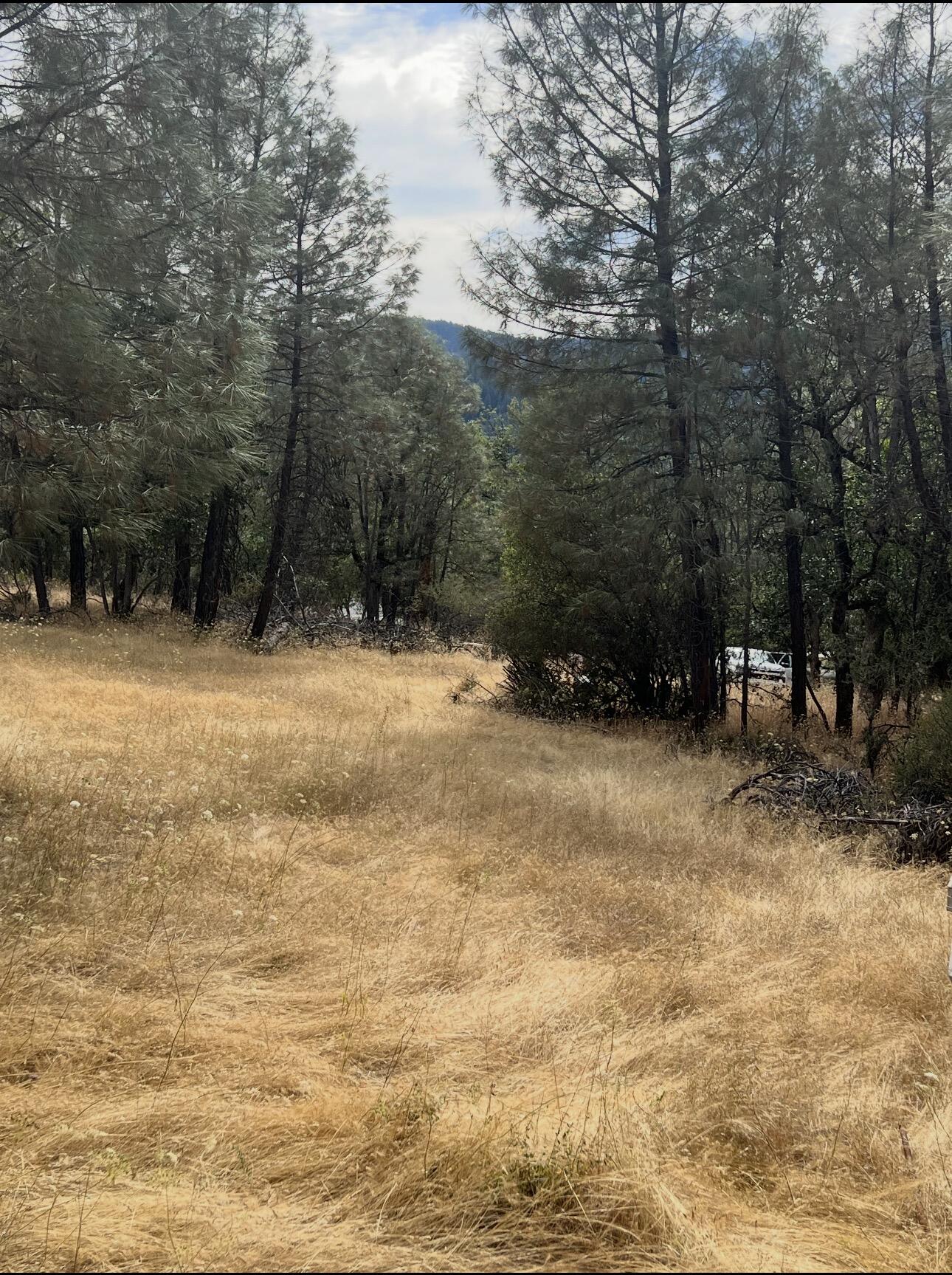 440 Ransom Road Weaverville, CA 96093 - Photo 8 of 25 Gallery Image 8