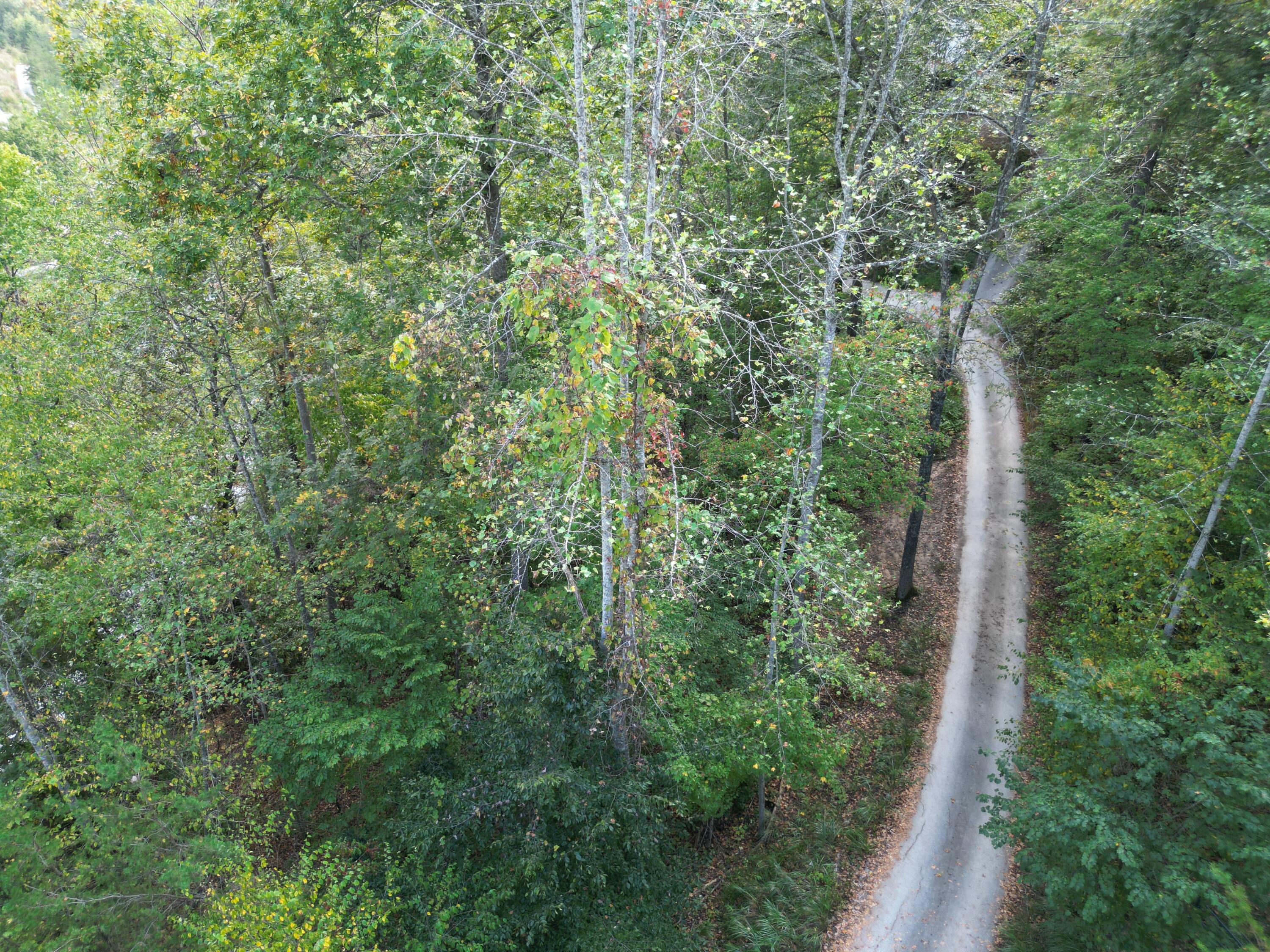 9999 Twin Arch Road, Unit LOT 8 Stanton, KY 40380 - Photo 1 of 6 DJI_0915