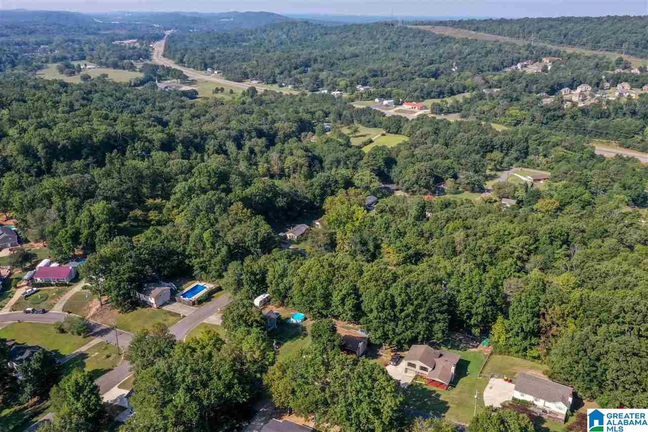 7440 Plantation Road Pinson, AL 35126 - Photo 31 of 31