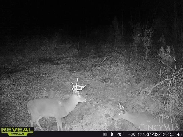 0 Clines Chapel Road Waverly, OH 45690 - Photo 15 of 40 Gallery Image 15