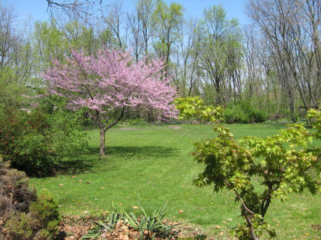 1235 Haddon Road Columbus, OH 43209 - Photo 2 of 14 Gallery Image 2