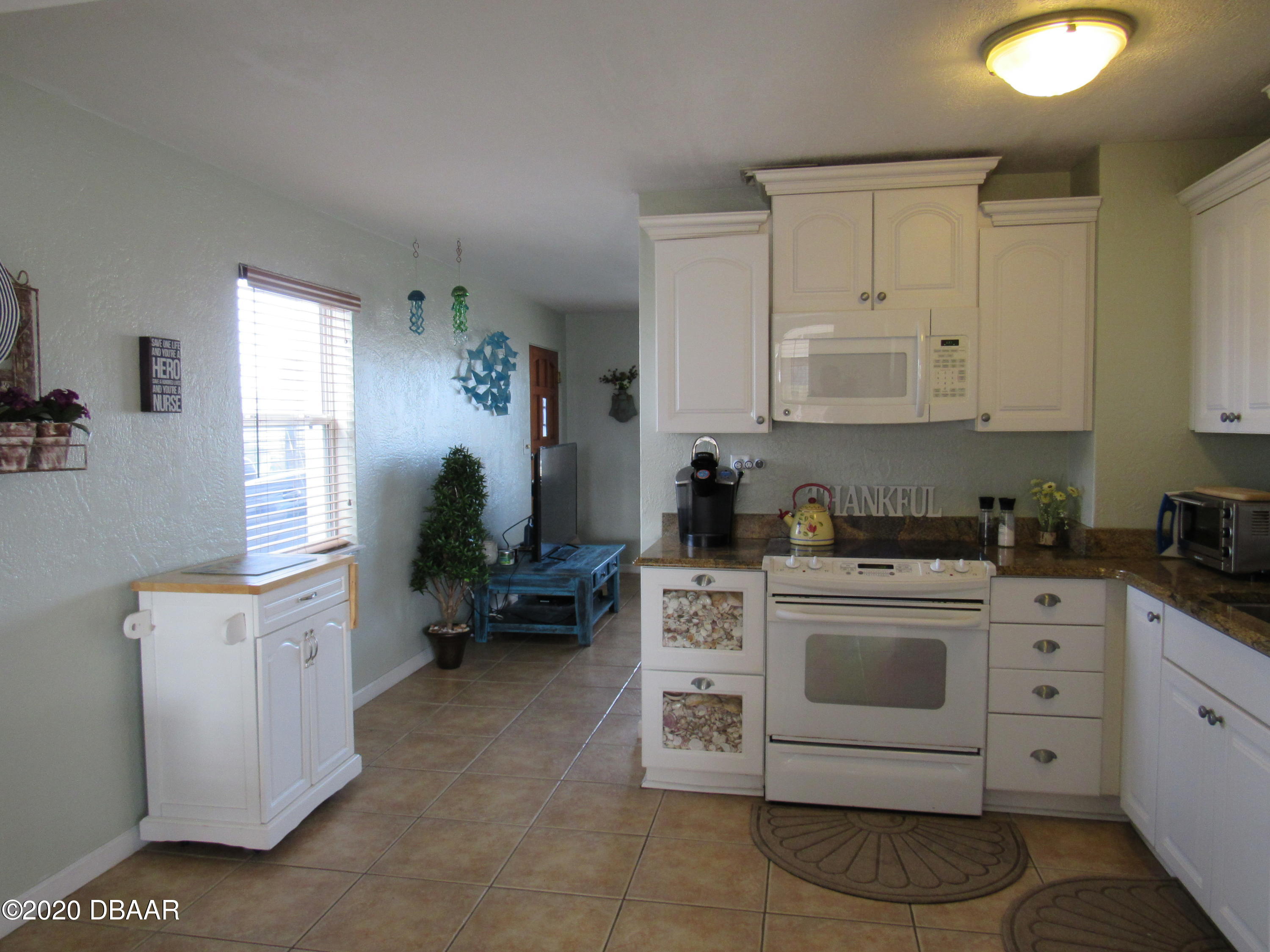 8 Seacrest Drive Ormond Beach, FL 32176 - Photo 10 of 29 8 SEACREST (9)