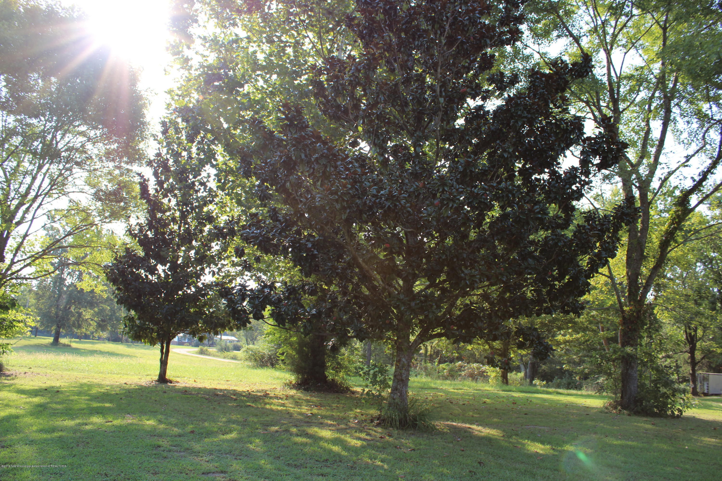1810 Peavine Road Coldwater, MS 38618 - Photo 1 of 61 Primary Photo