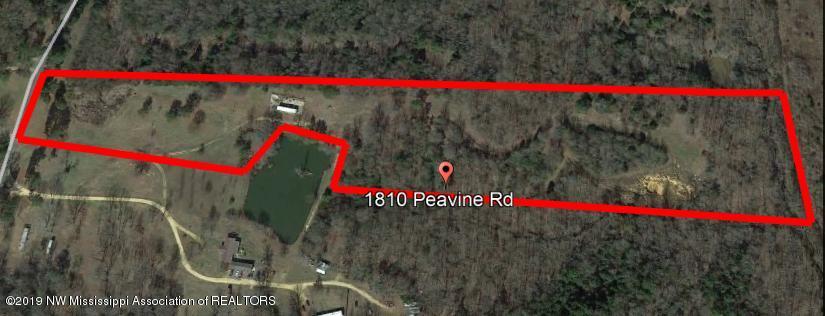 1810 Peavine Road Coldwater, MS 38618 - Photo 13 of 61 layout