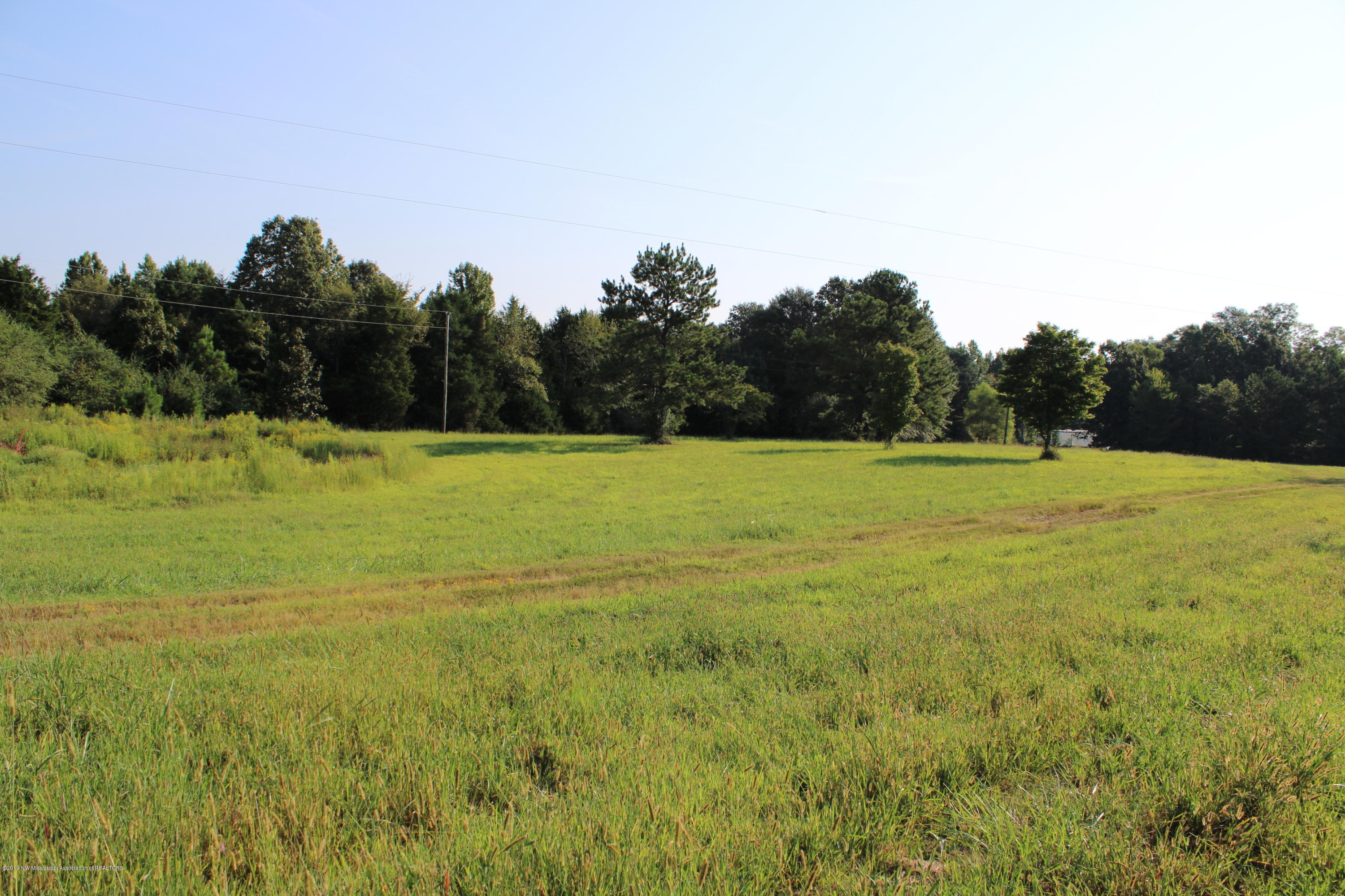 1810 Peavine Road Coldwater, MS 38618 - Photo 15 of 61 00000005