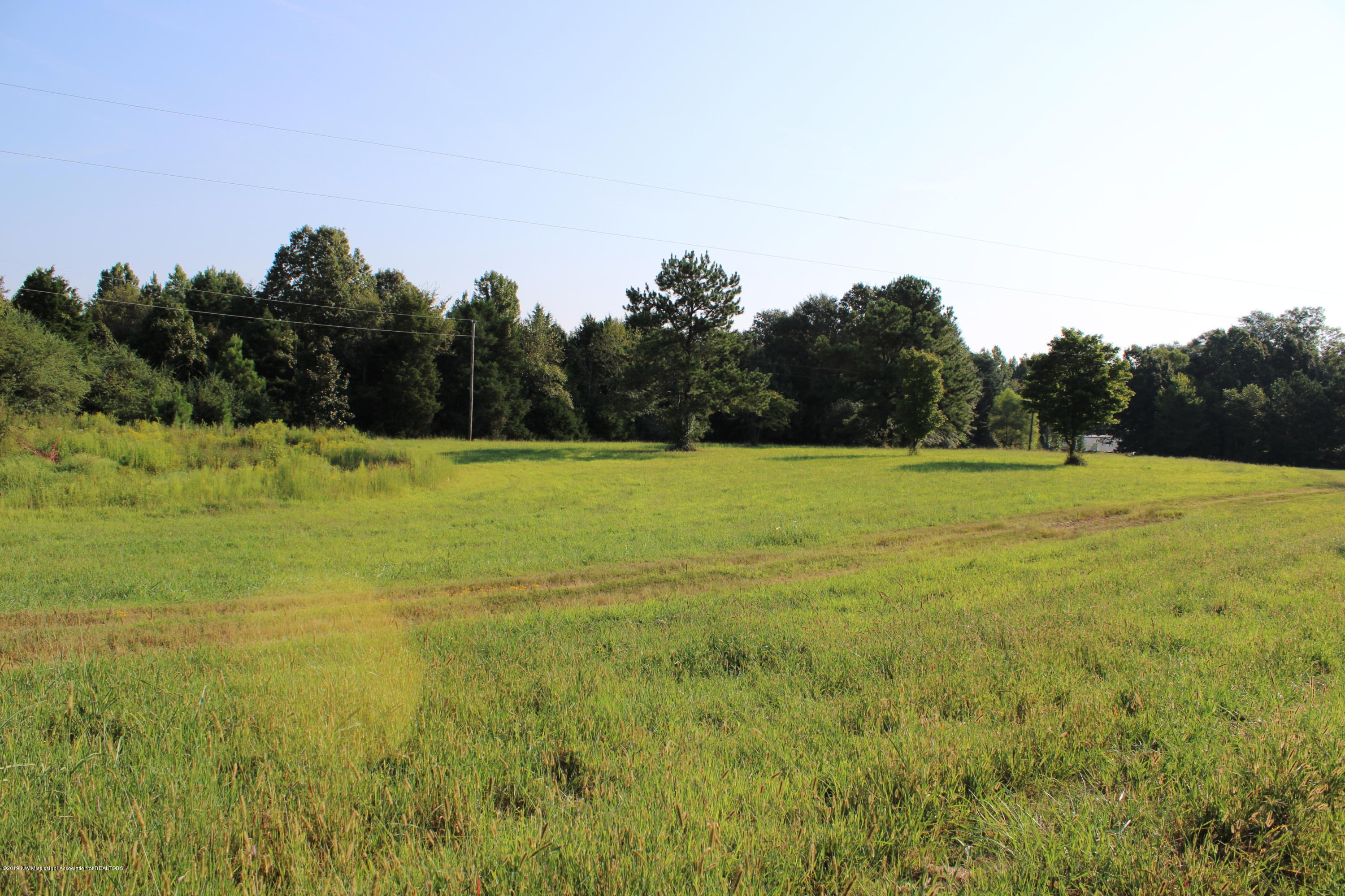 1810 Peavine Road Coldwater, MS 38618 - Photo 16 of 61 00000006