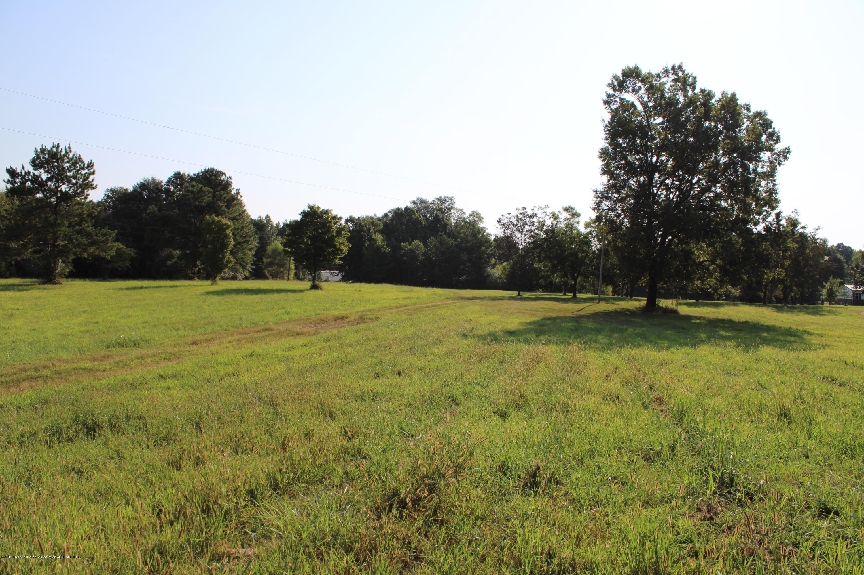 1810 Peavine Road Coldwater, MS 38618 - Photo 17 of 61 00000007