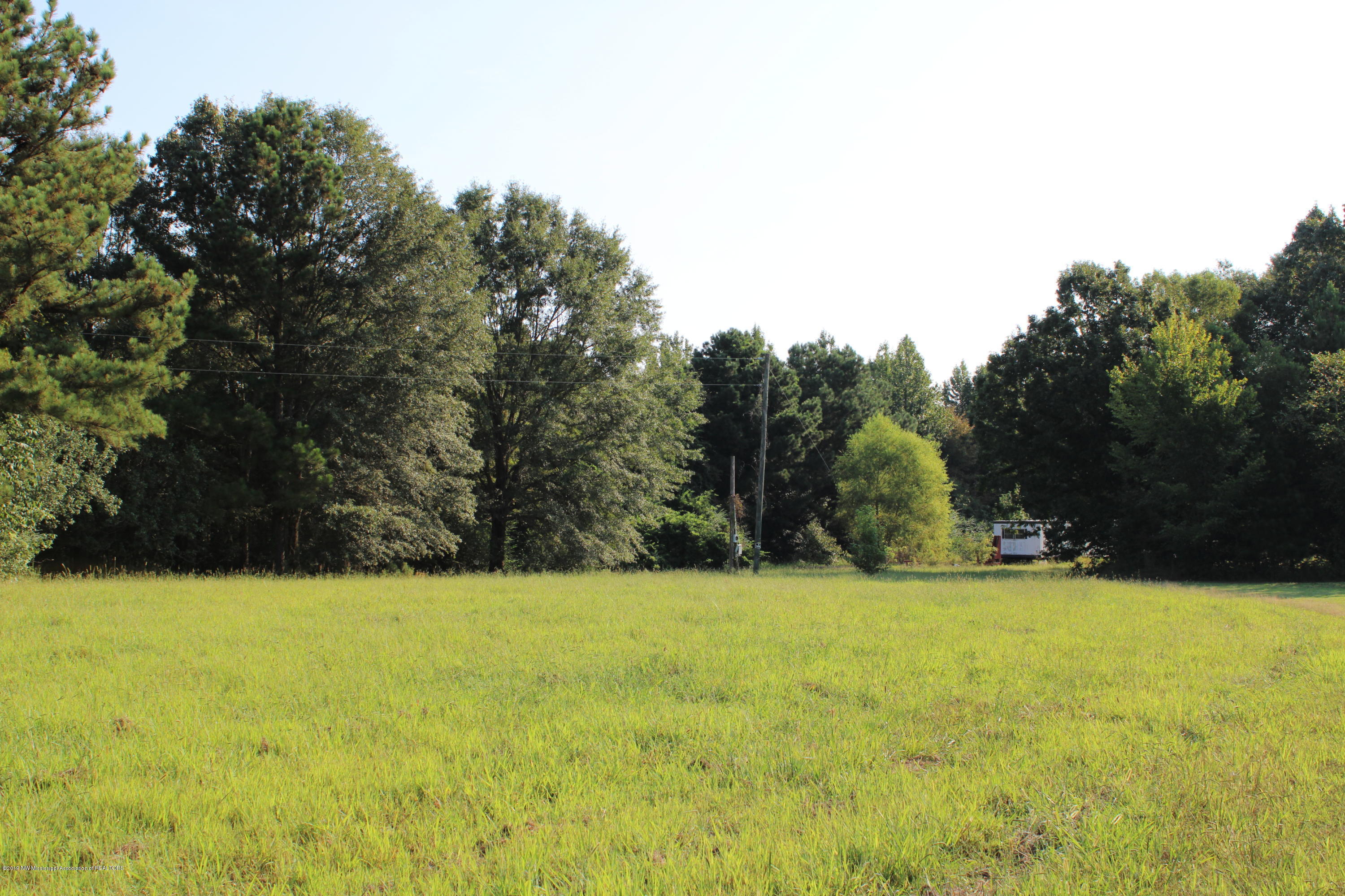 1810 Peavine Road Coldwater, MS 38618 - Photo 20 of 61 00000011