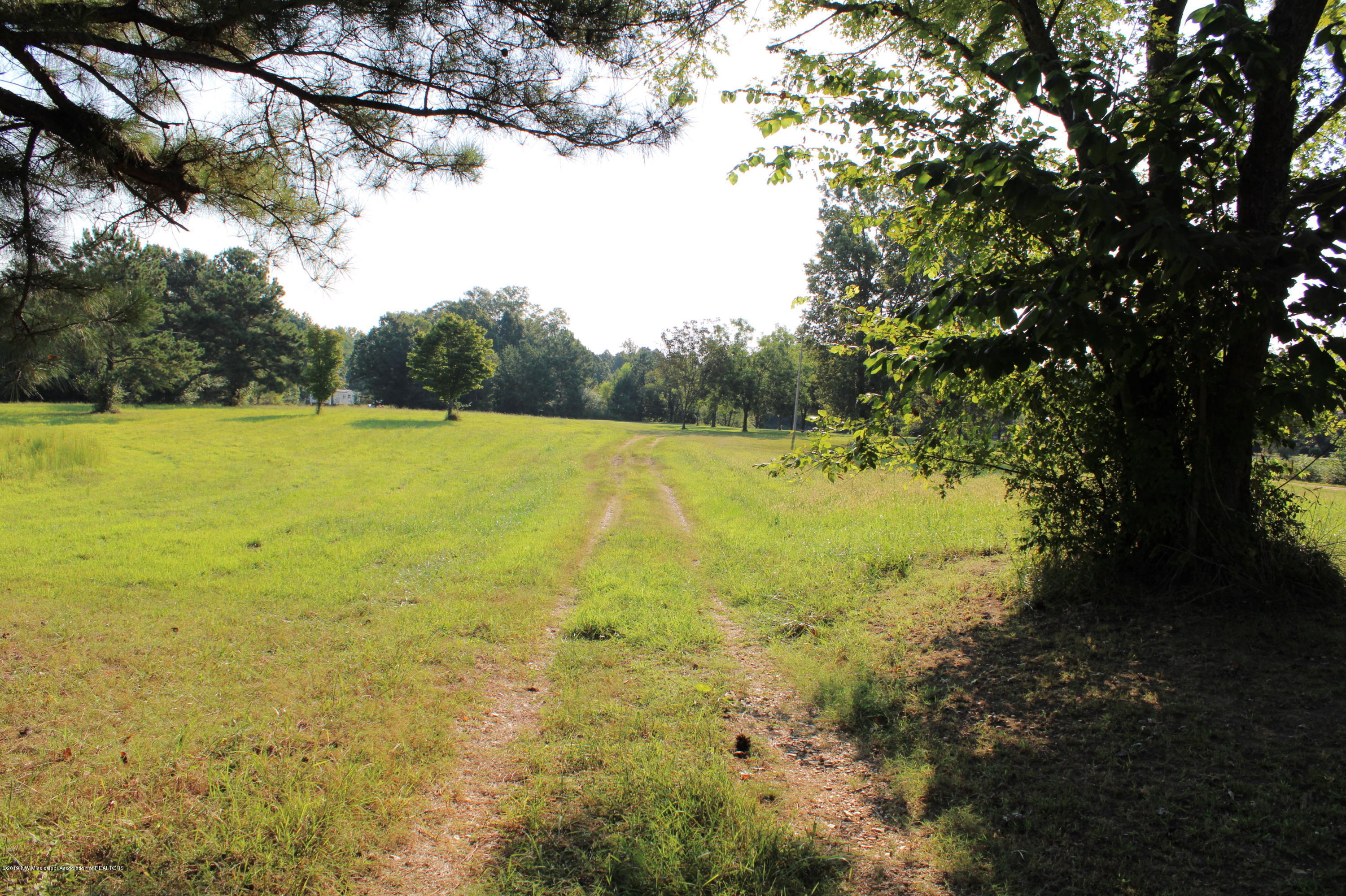 1810 Peavine Road Coldwater, MS 38618 - Photo 2 of 61 00000003