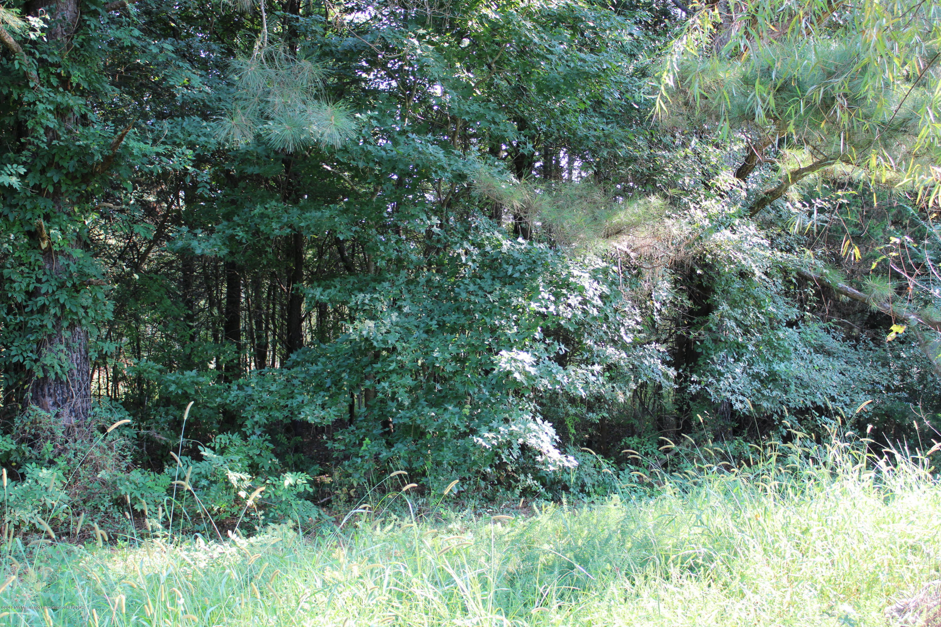 1810 Peavine Road Coldwater, MS 38618 - Photo 23 of 61 00000015