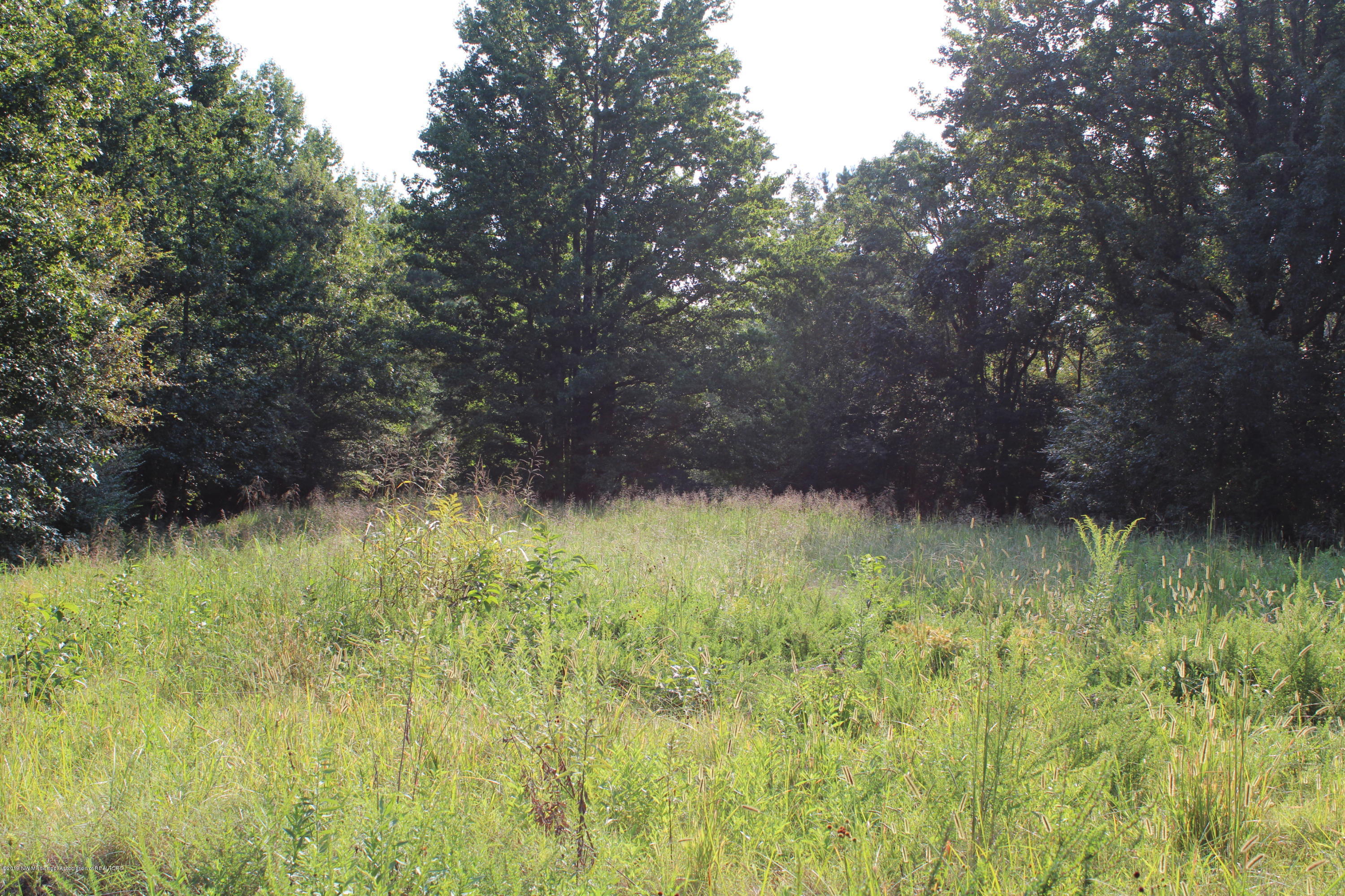 1810 Peavine Road Coldwater, MS 38618 - Photo 24 of 61 00000016