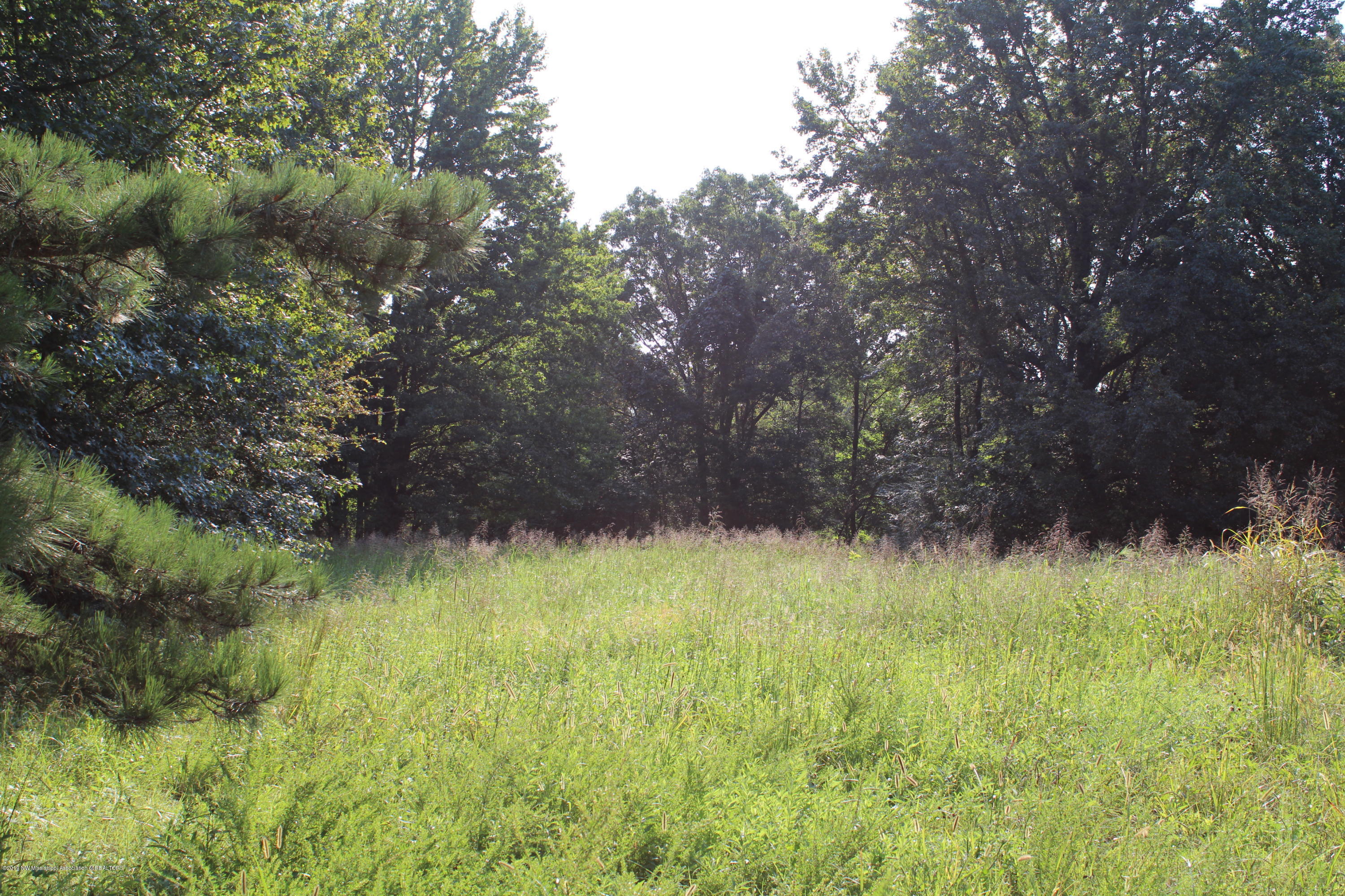 1810 Peavine Road Coldwater, MS 38618 - Photo 25 of 61 00000017