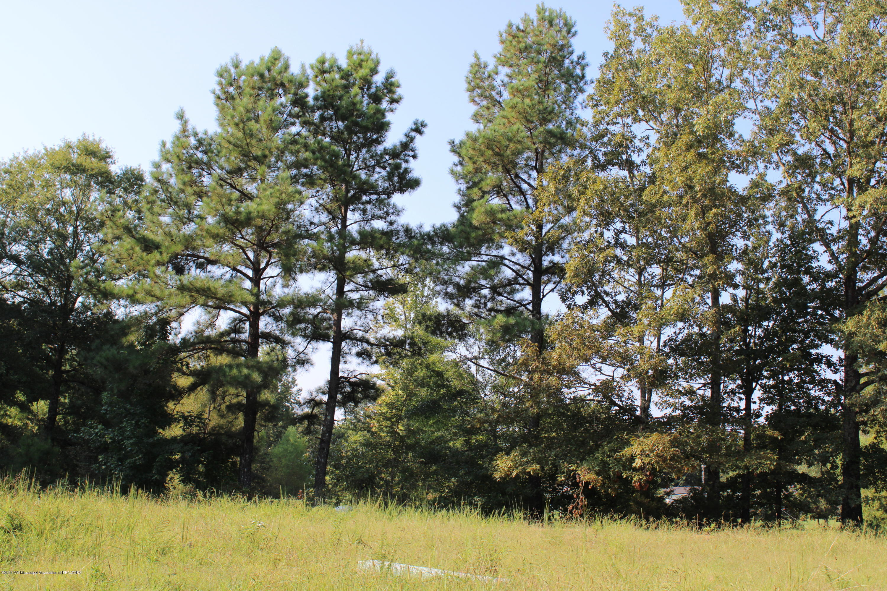 1810 Peavine Road Coldwater, MS 38618 - Photo 26 of 61 00000018