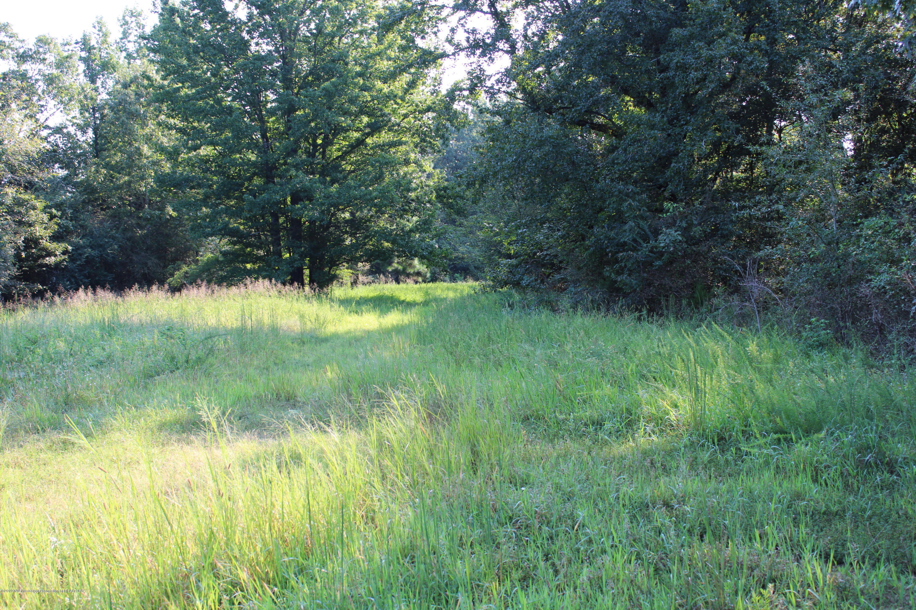 1810 Peavine Road Coldwater, MS 38618 - Photo 27 of 61 00000019
