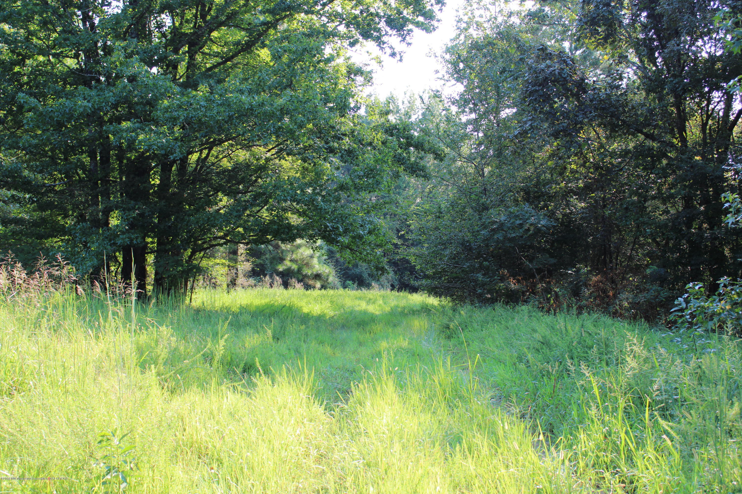 1810 Peavine Road Coldwater, MS 38618 - Photo 28 of 61 00000021
