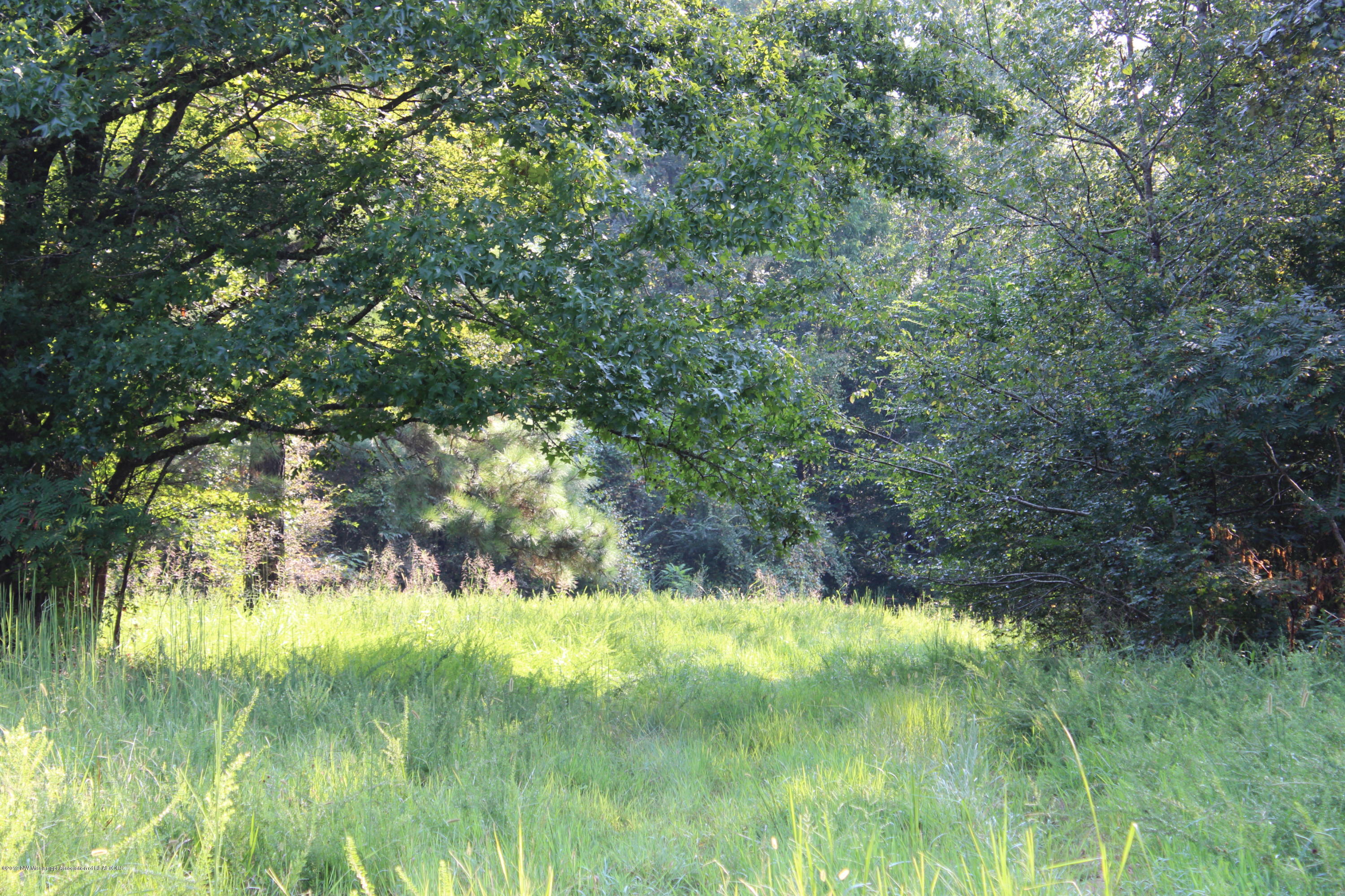 1810 Peavine Road Coldwater, MS 38618 - Photo 29 of 61 00000022