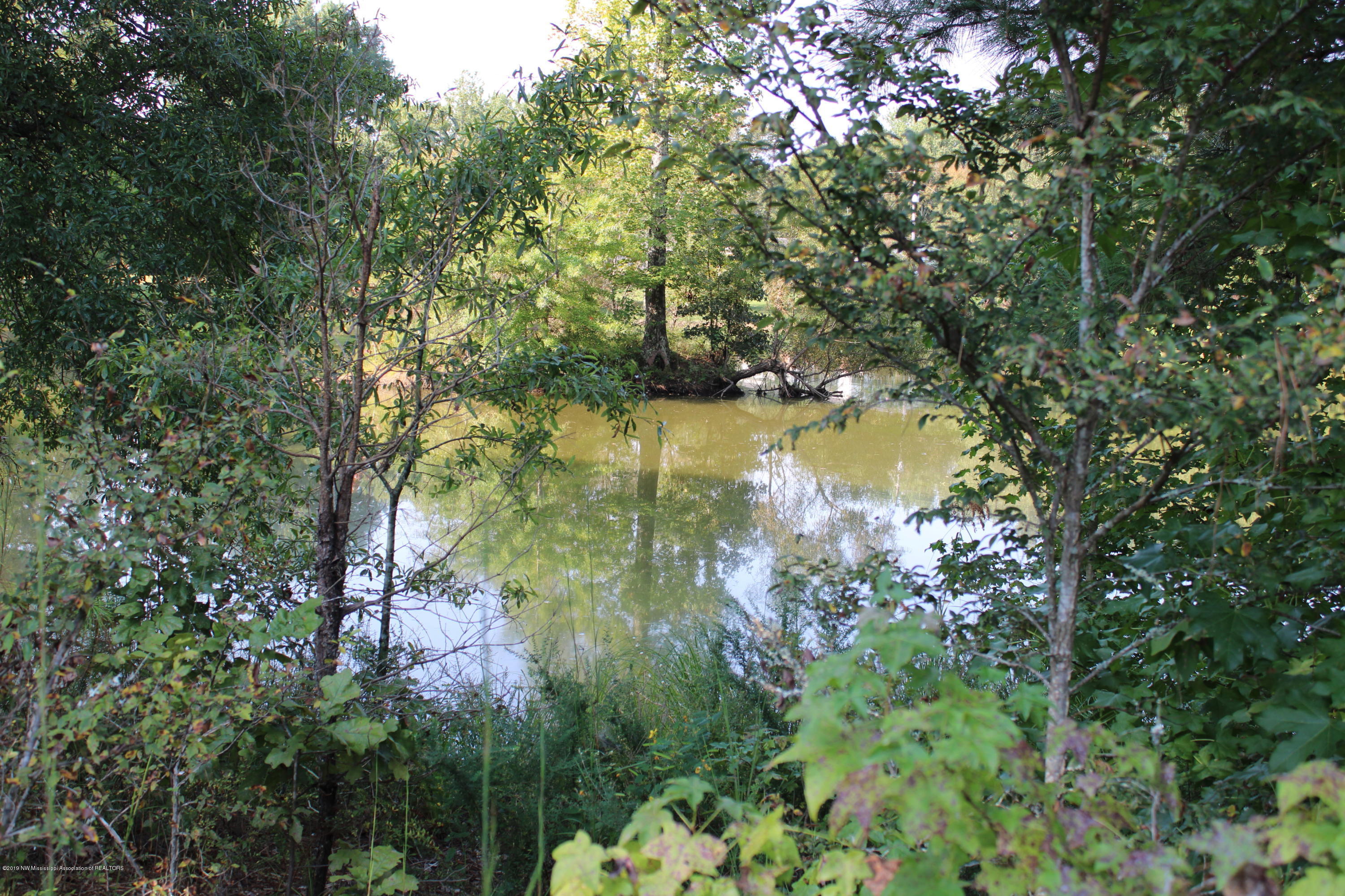 1810 Peavine Road Coldwater, MS 38618 - Photo 3 of 61 00000020