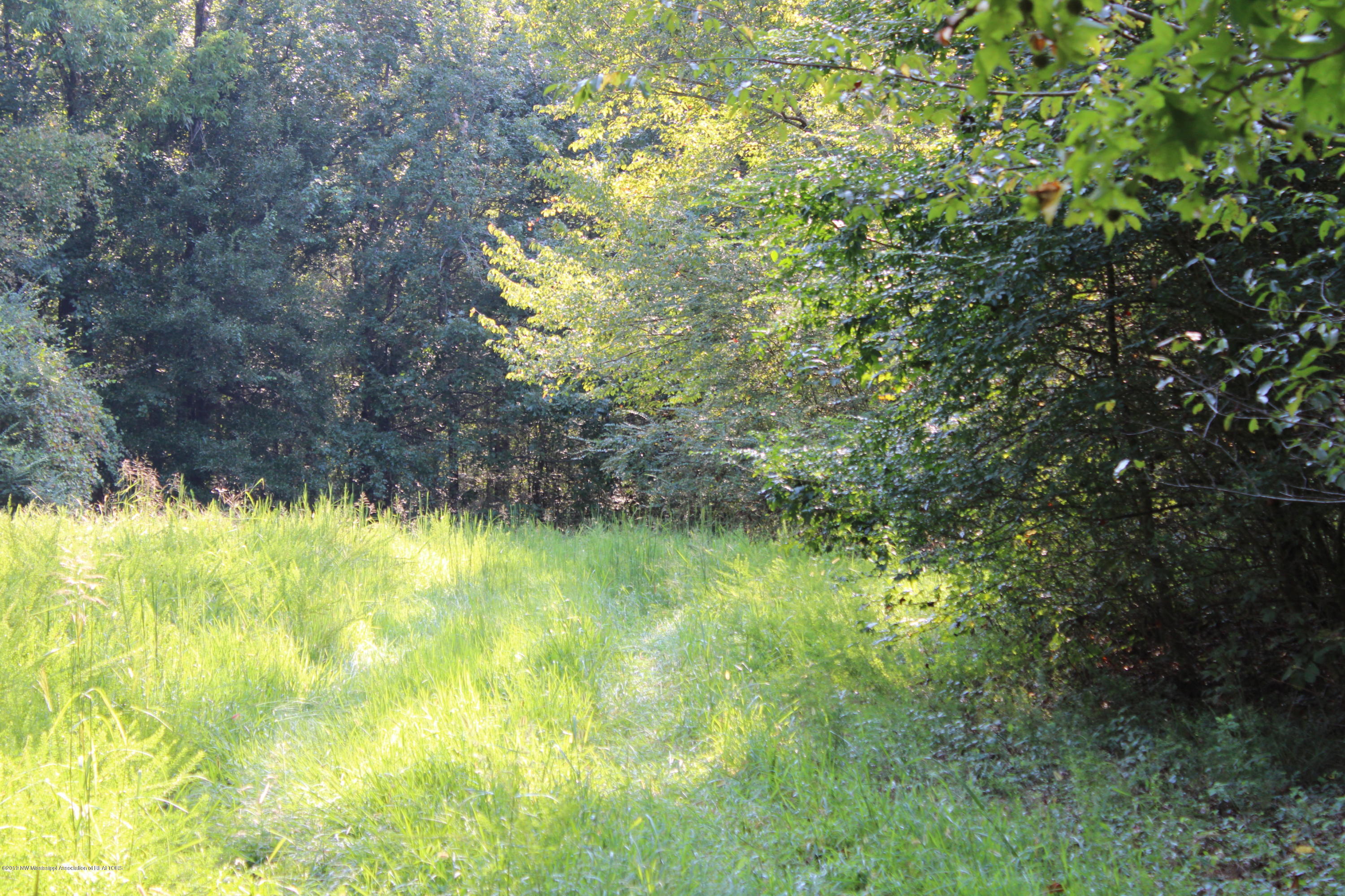 1810 Peavine Road Coldwater, MS 38618 - Photo 32 of 61 00000025
