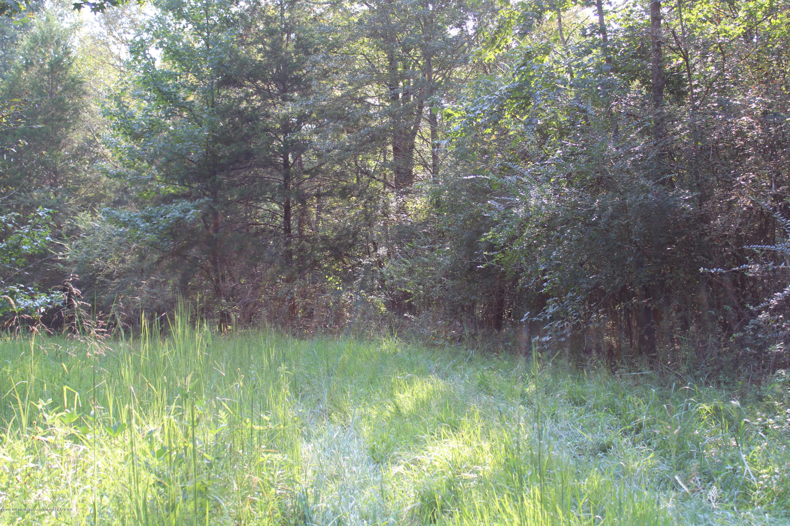 1810 Peavine Road Coldwater, MS 38618 - Photo 33 of 61 00000027