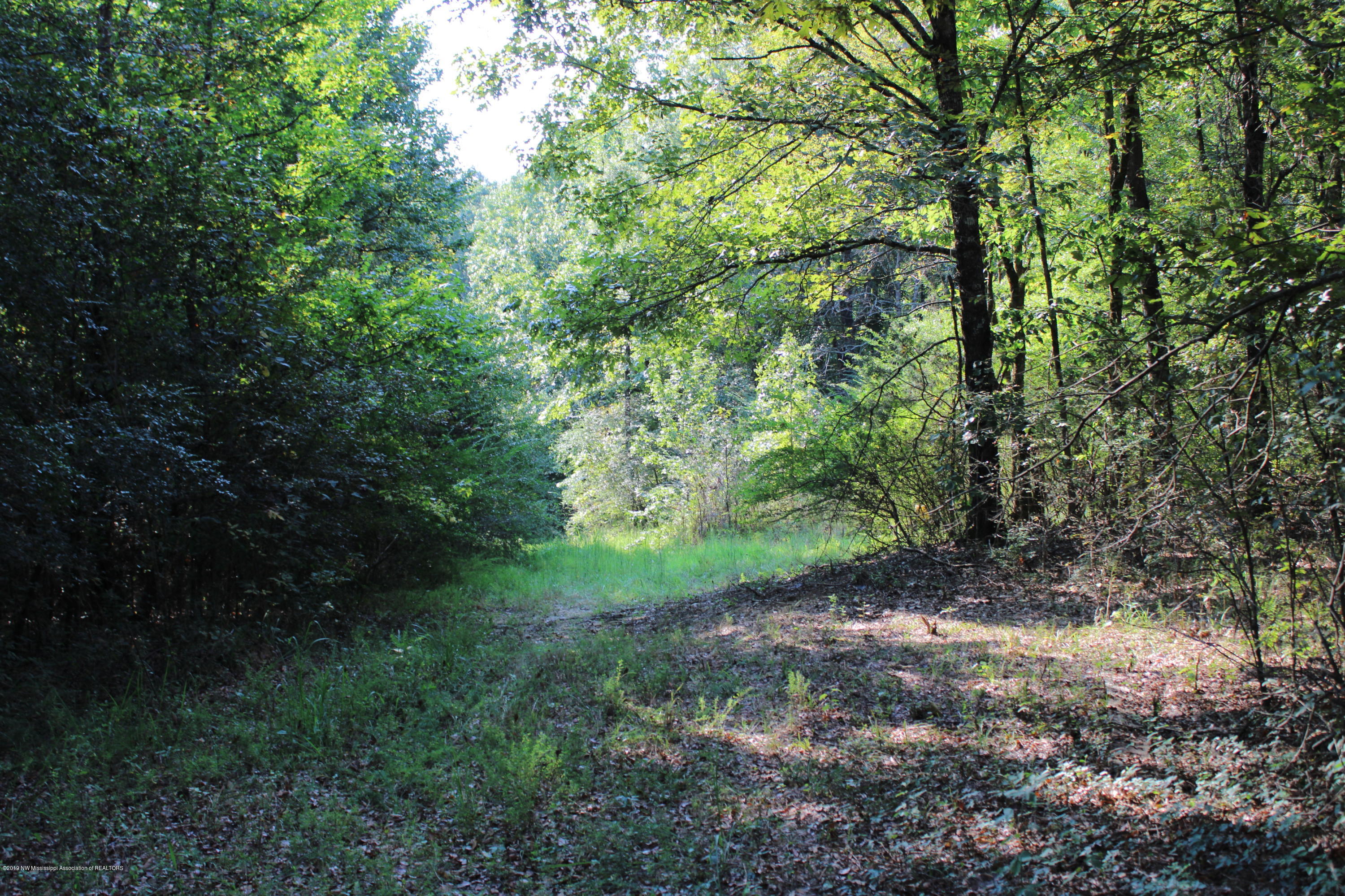 1810 Peavine Road Coldwater, MS 38618 - Photo 36 of 61 00000030