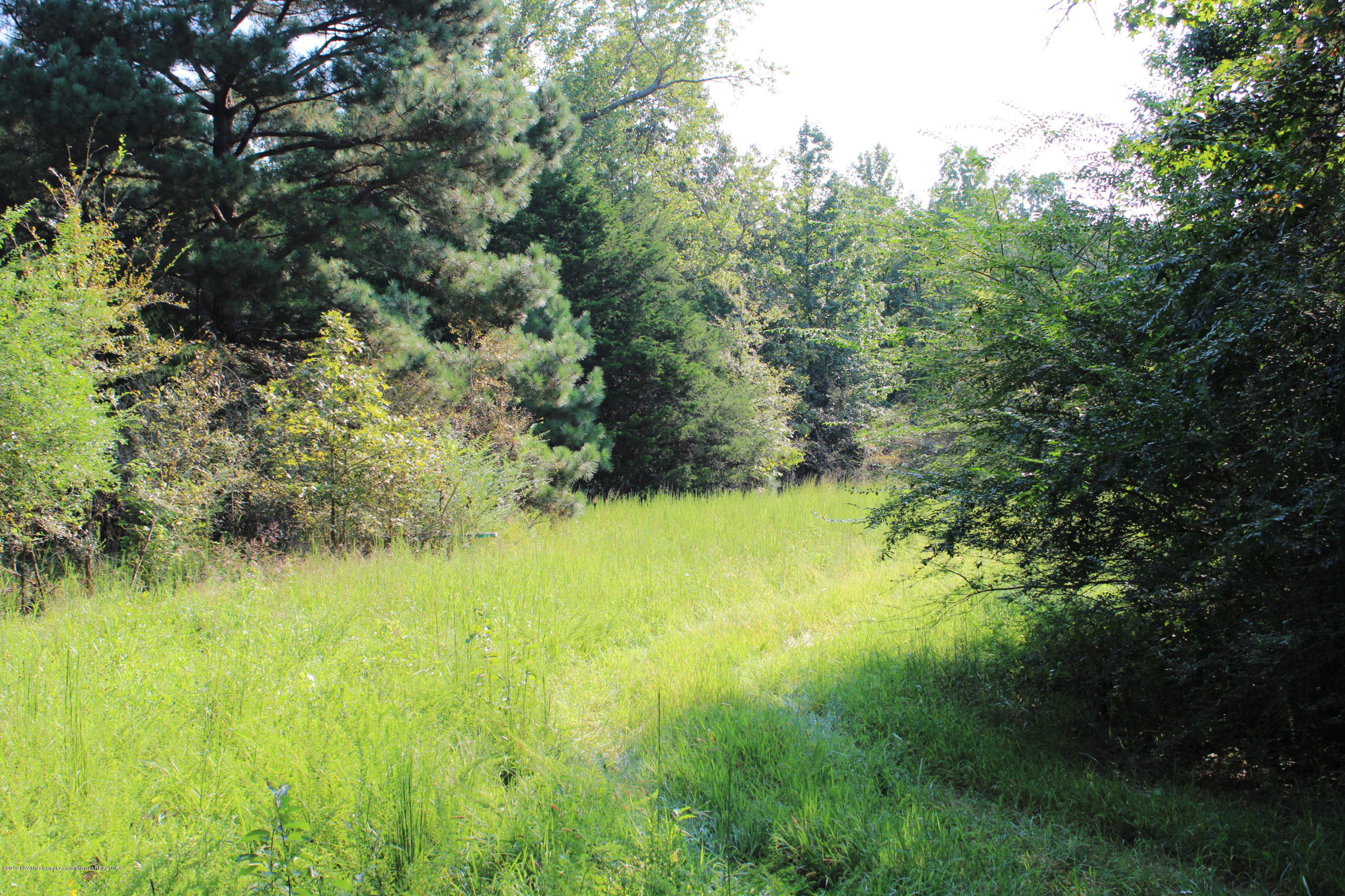 1810 Peavine Road Coldwater, MS 38618 - Photo 38 of 61 00000032