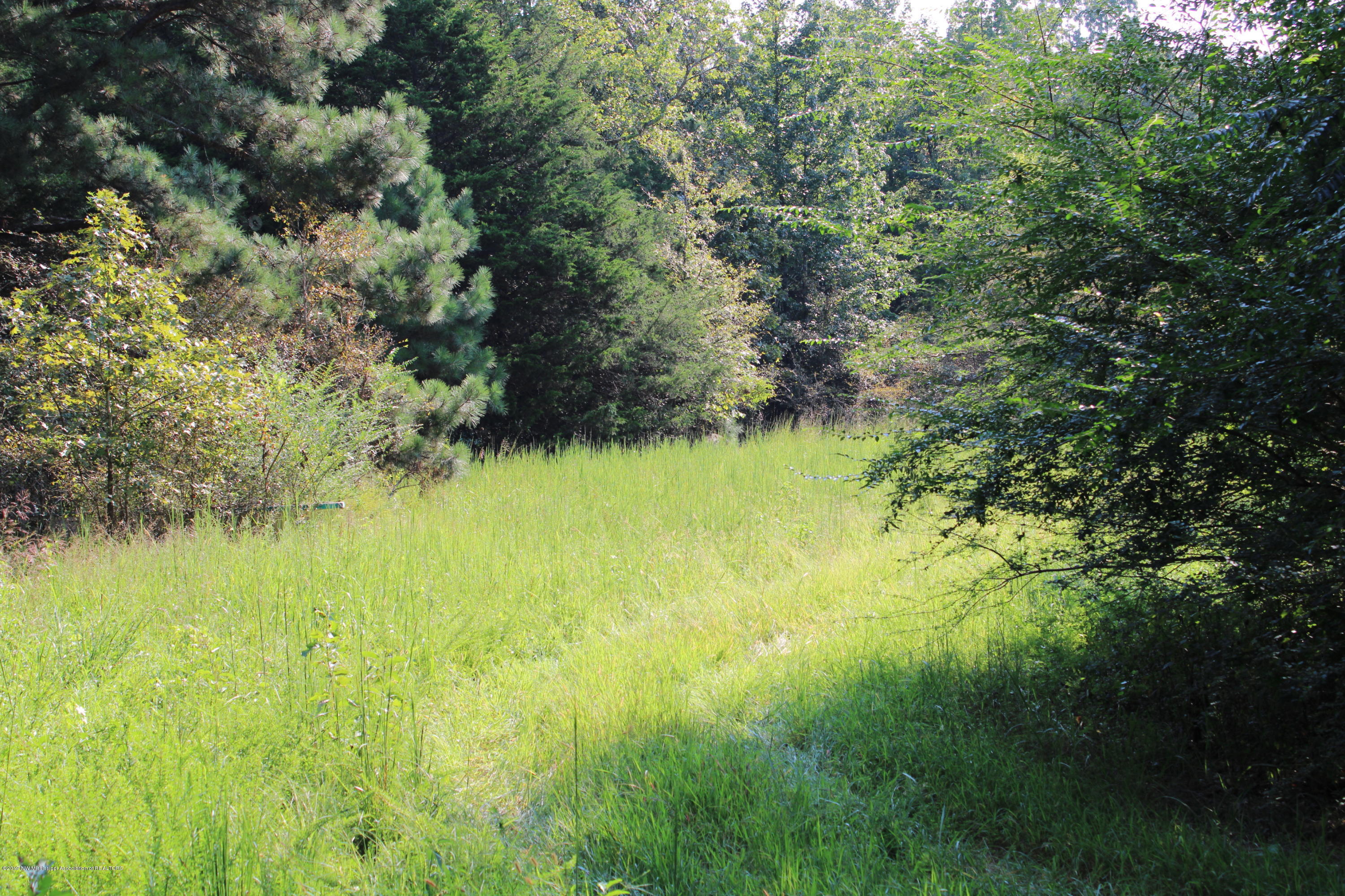 1810 Peavine Road Coldwater, MS 38618 - Photo 39 of 61 00000033