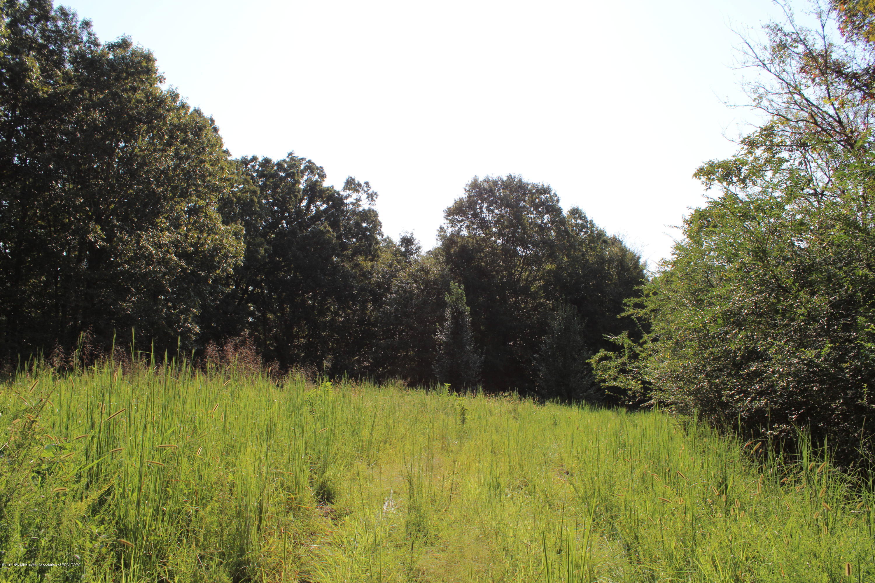 1810 Peavine Road Coldwater, MS 38618 - Photo 40 of 61 00000034