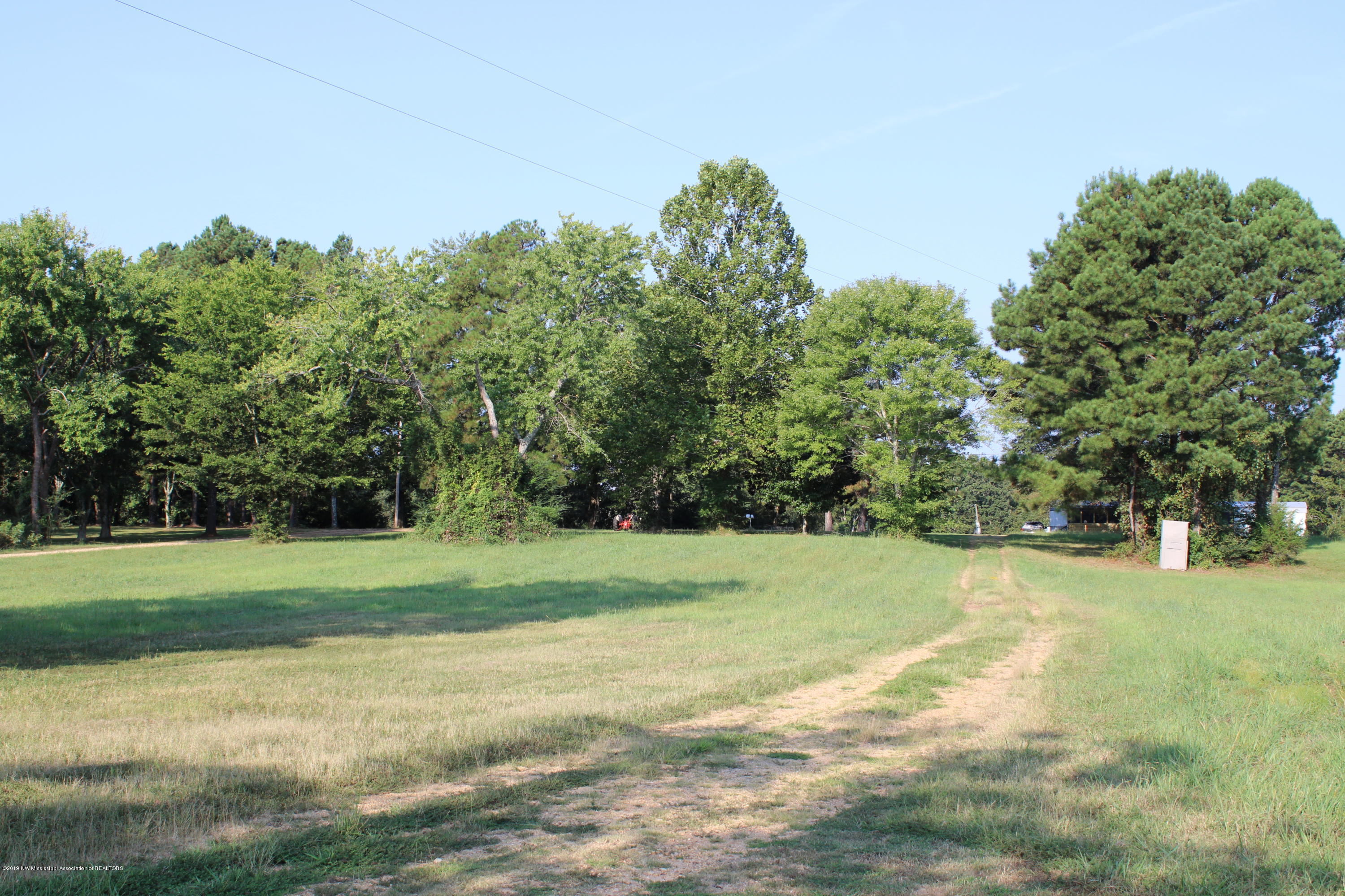 1810 Peavine Road Coldwater, MS 38618 - Photo 4 of 61 00000010