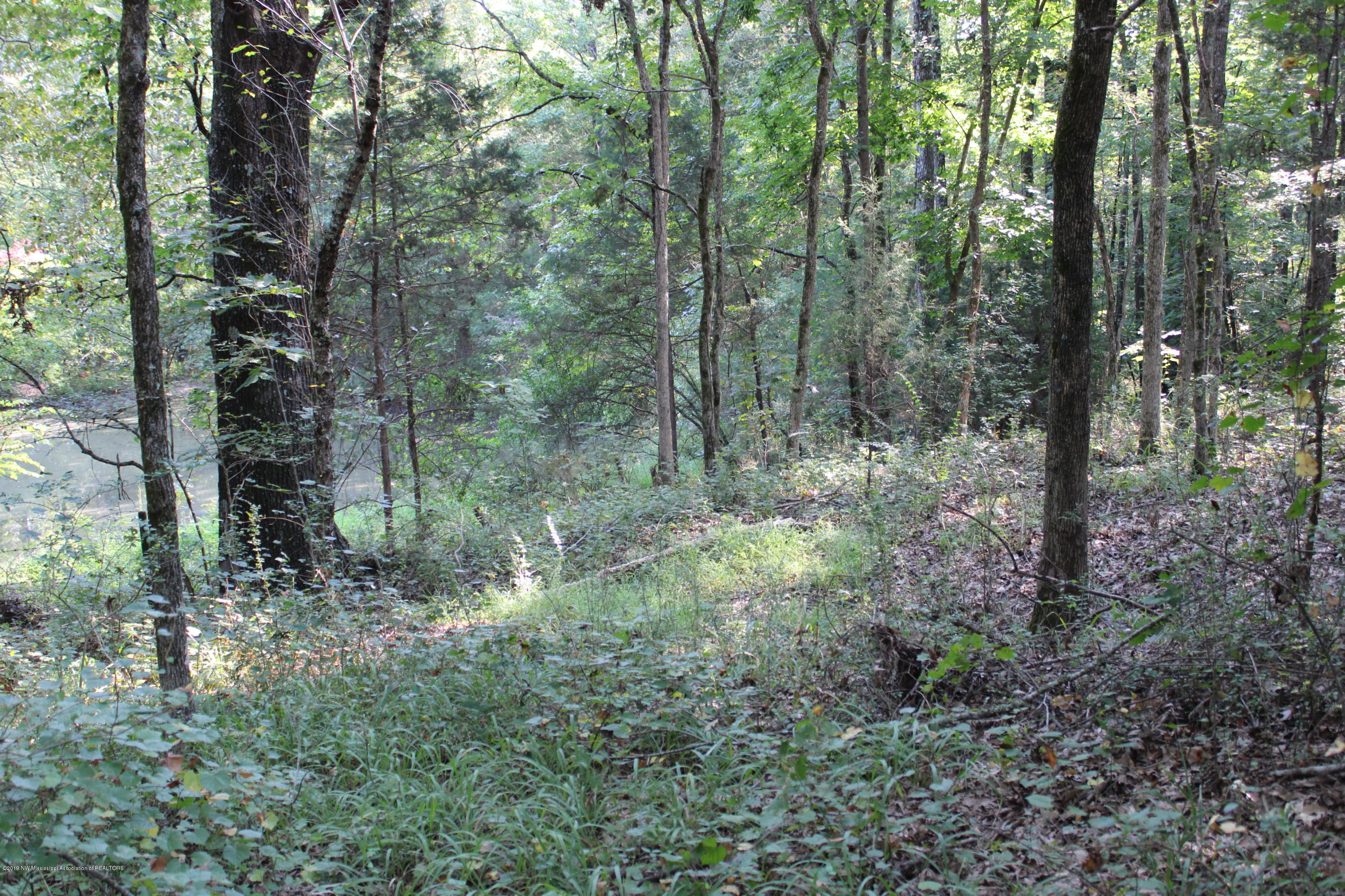 1810 Peavine Road Coldwater, MS 38618 - Photo 42 of 61 00000036