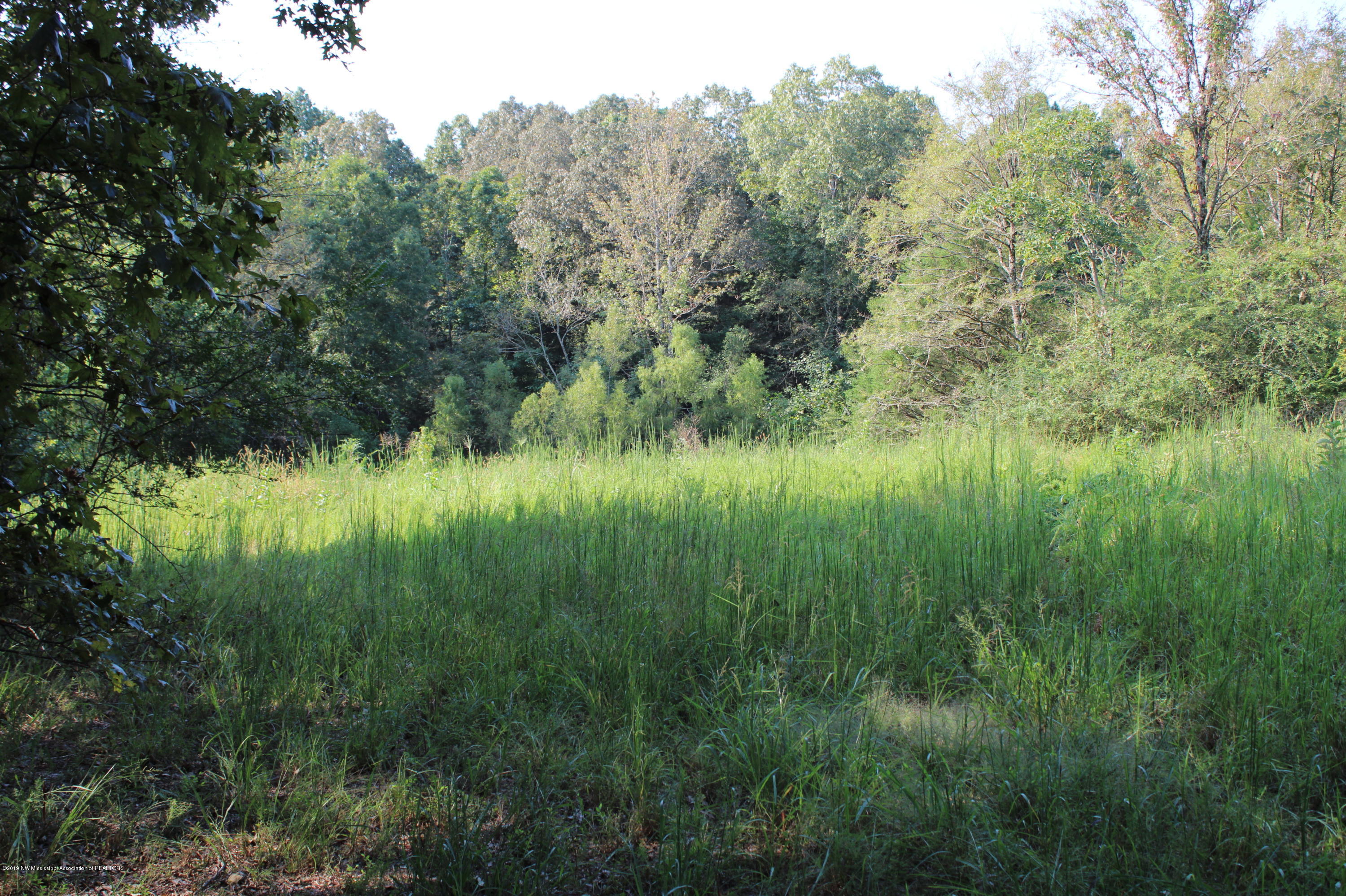 1810 Peavine Road Coldwater, MS 38618 - Photo 44 of 61 00000038