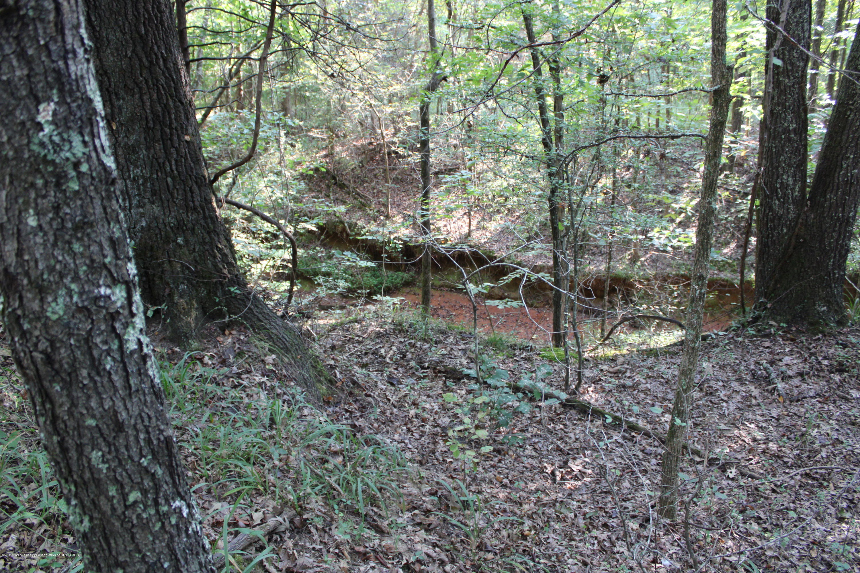 1810 Peavine Road Coldwater, MS 38618 - Photo 48 of 61 00000045
