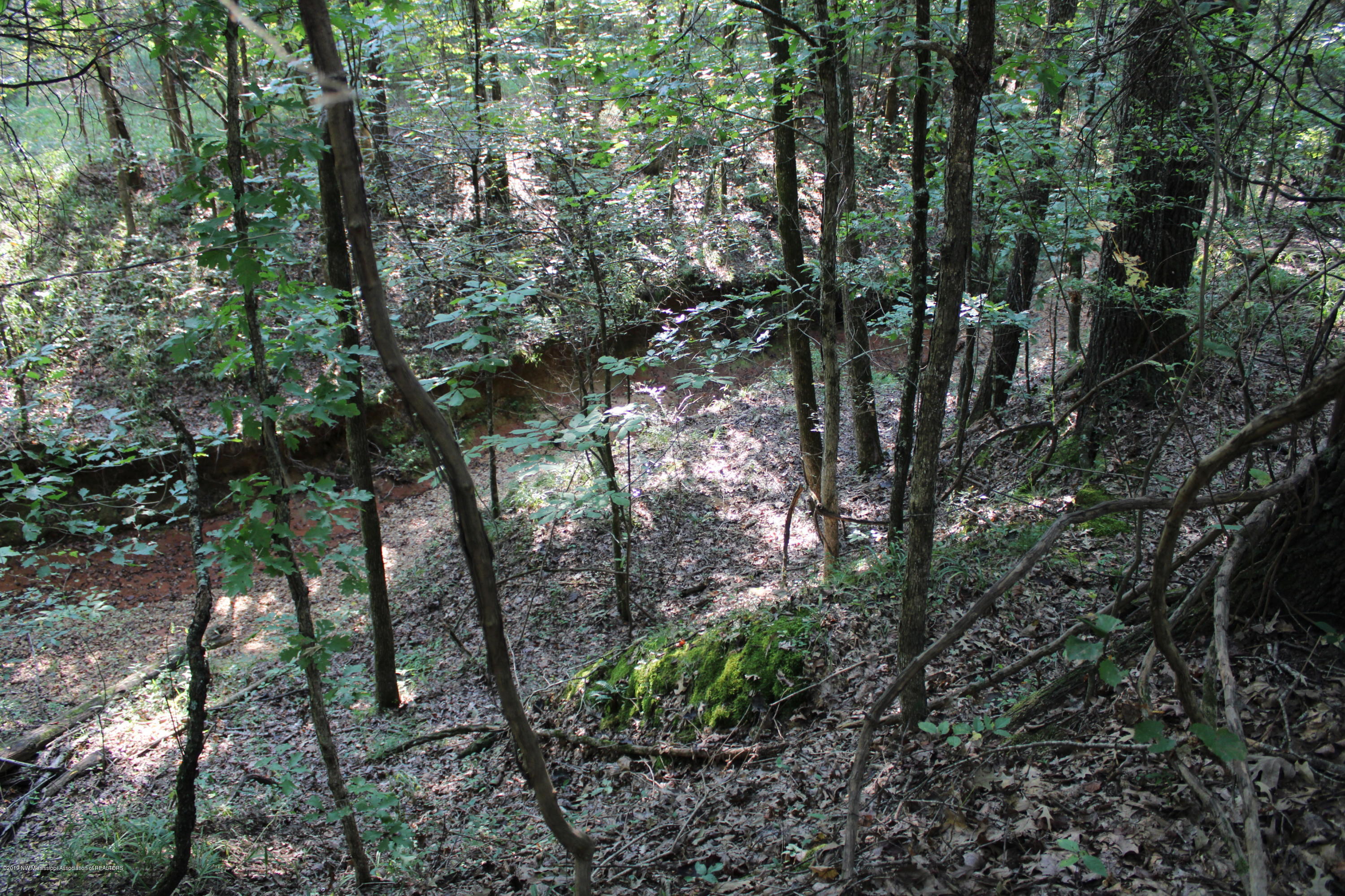 1810 Peavine Road Coldwater, MS 38618 - Photo 53 of 61 00000050
