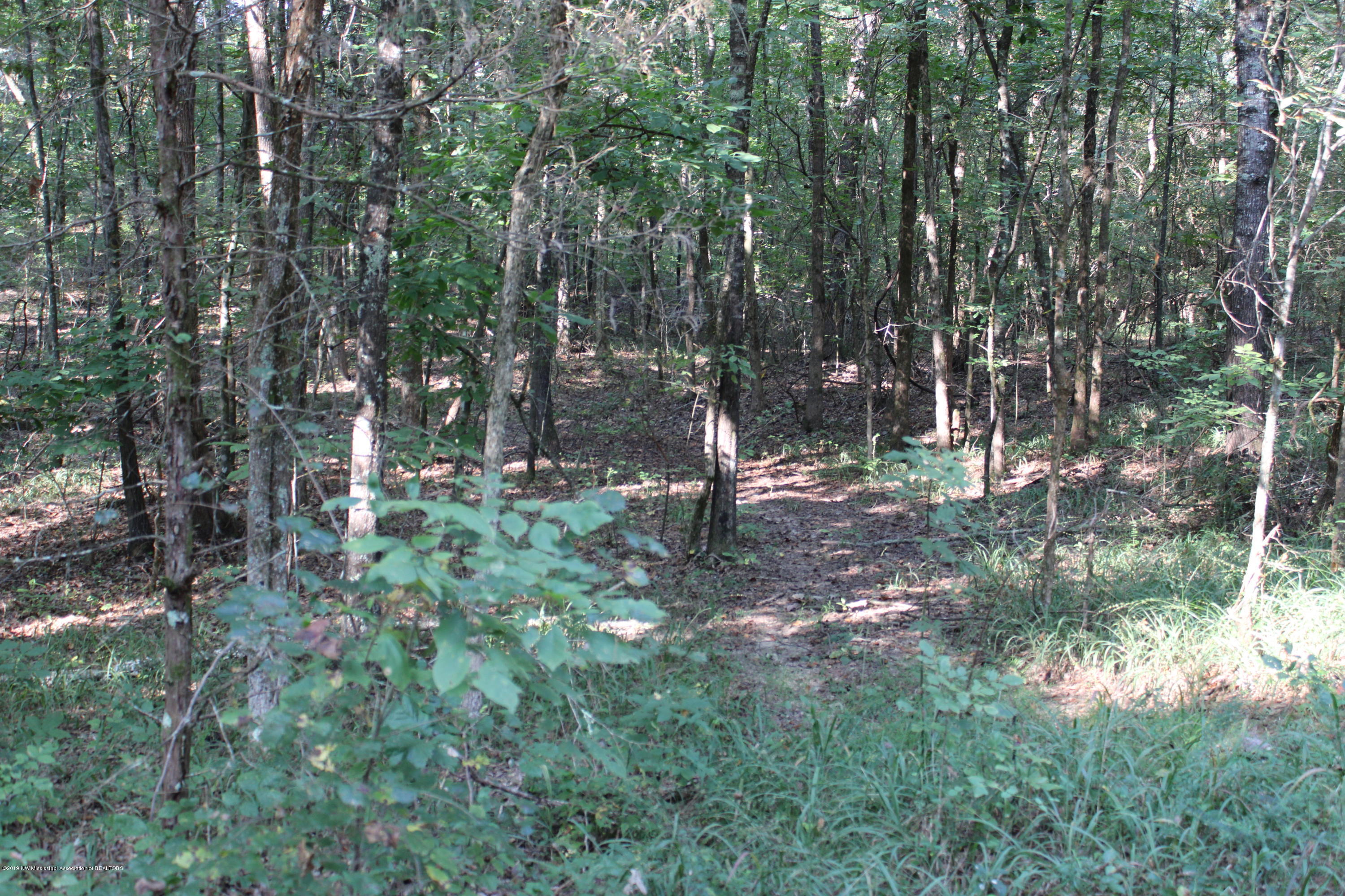 1810 Peavine Road Coldwater, MS 38618 - Photo 56 of 61 00000054