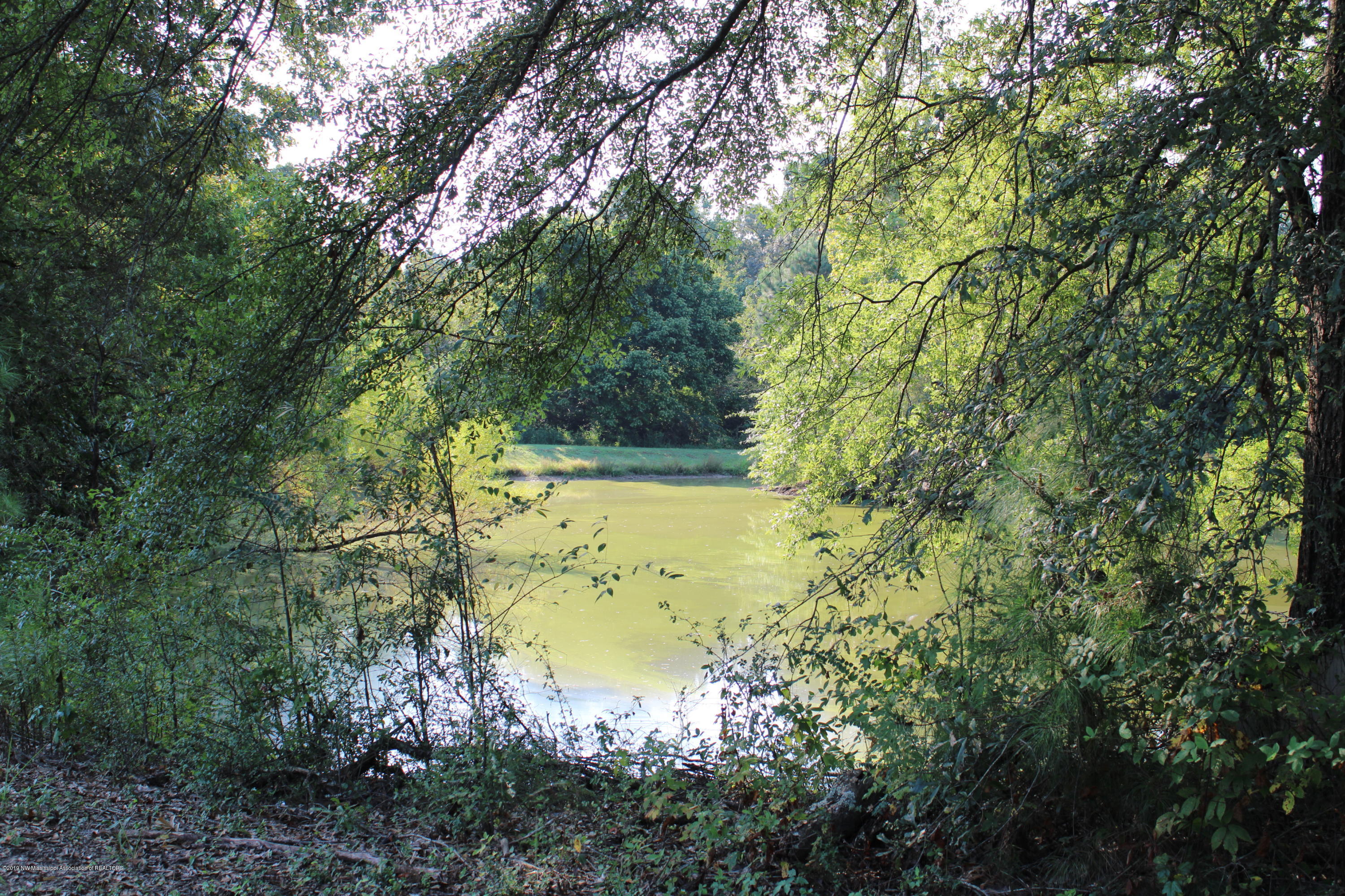 1810 Peavine Road Coldwater, MS 38618 - Photo 10 of 61 00000014