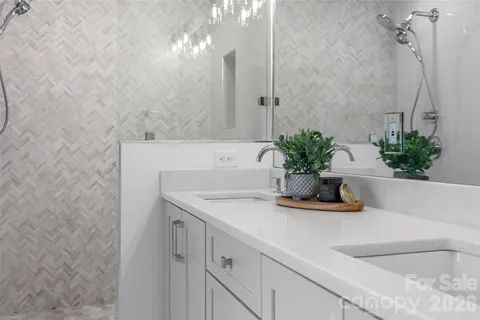 a bathroom with a sink and a potted plant