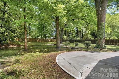 a view of a garden with a bench
