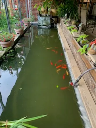 a view of a lake with a yard