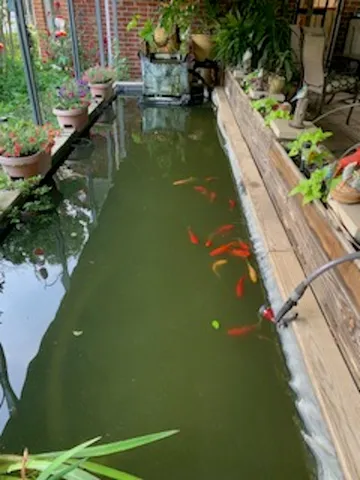 a view of a lake with a yard