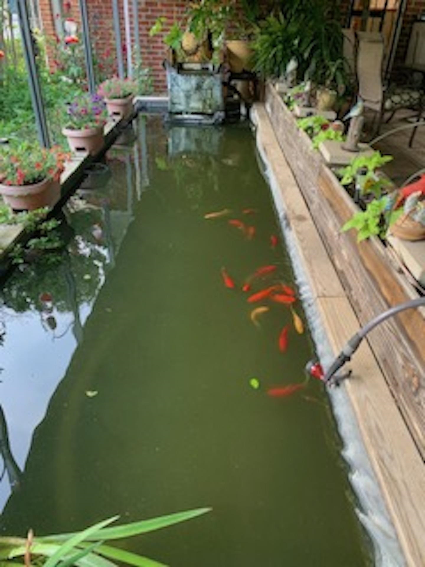 4500 New Brownsville Road Memphis, TN 38135 - Photo 15 of 23 a view of a lake with a yard