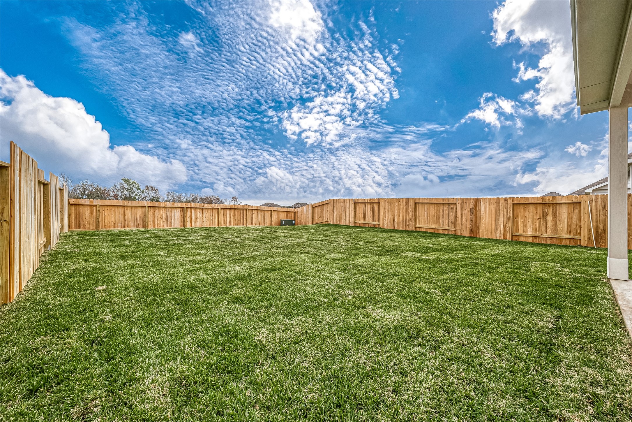 4923 Luke Matthew Drive Rosharon, TX 77583 - Photo 47 of 48 a view of a backyard