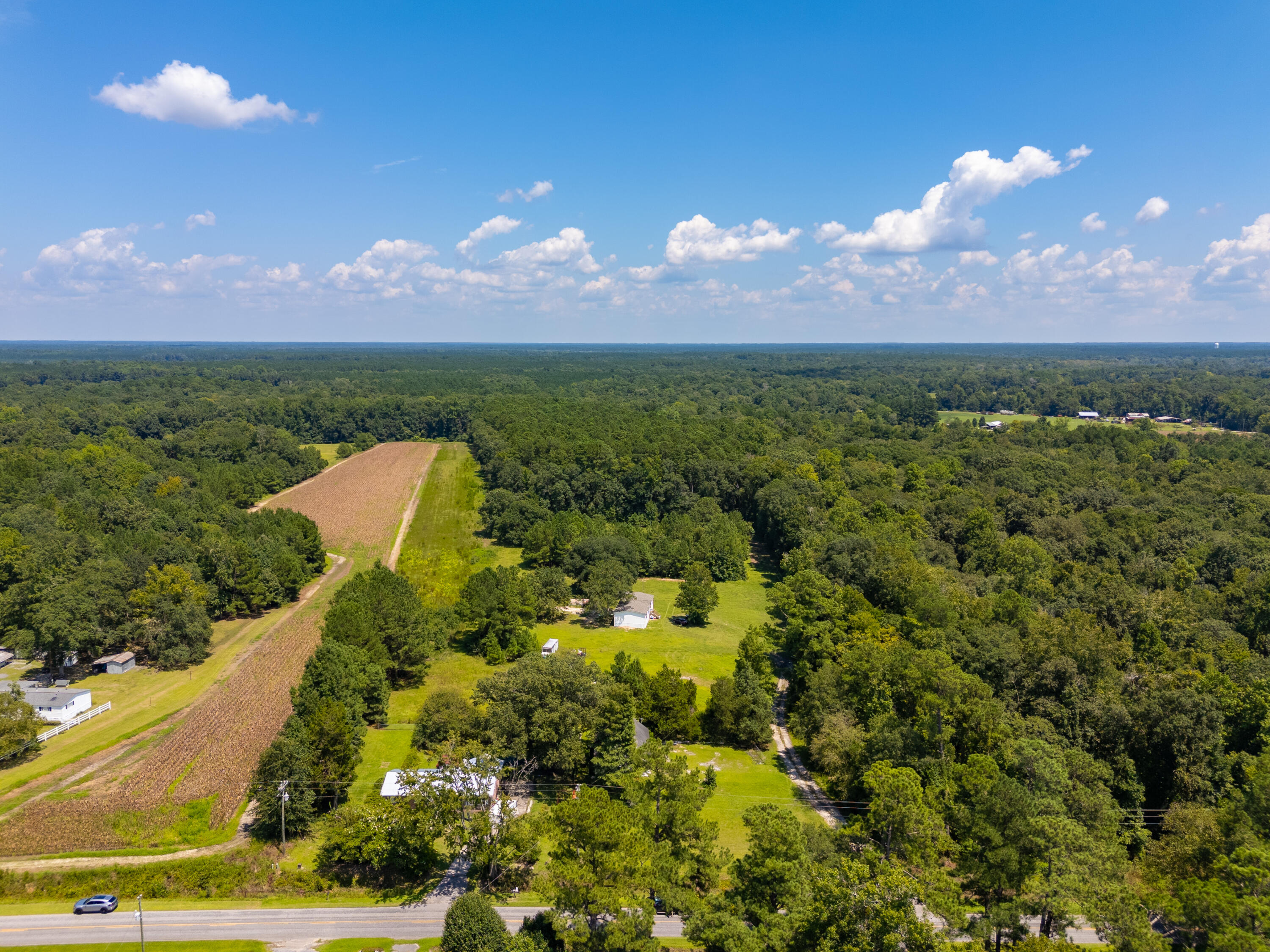 1388 Lebanon Road Ridgeville, SC 29472 - Photo 8 of 12 DJI_20240815141531_0030_D