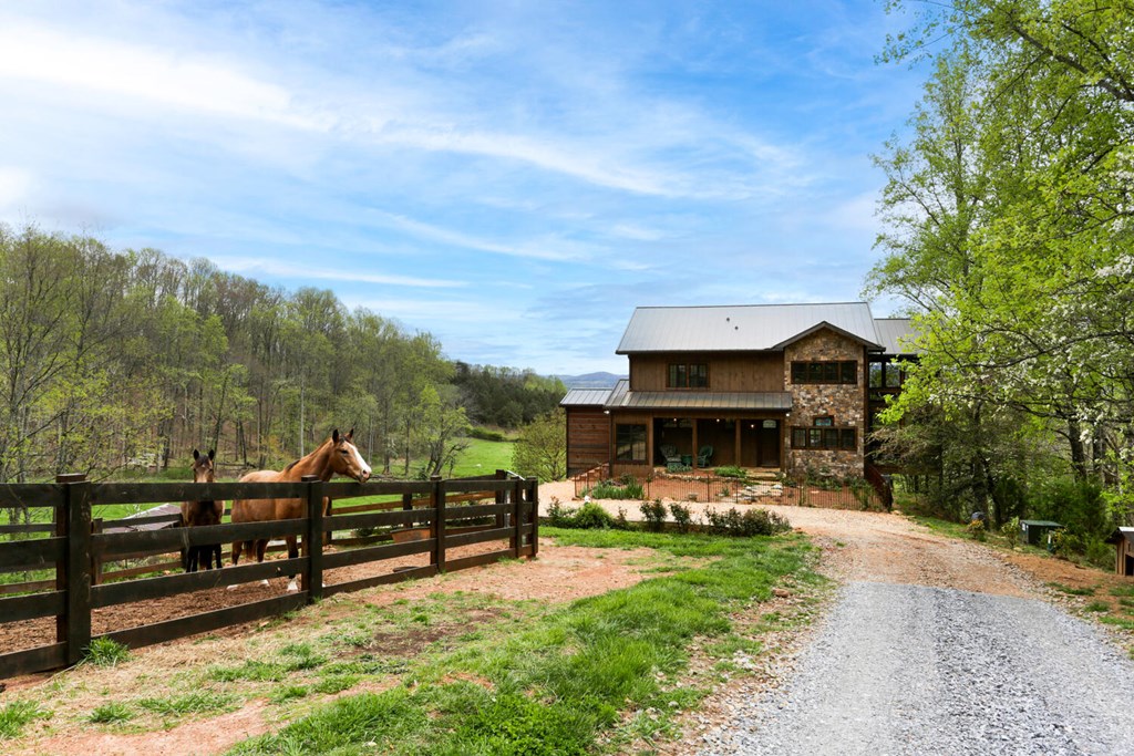 466 Scrougetown Road Ellijay, GA 30536 - Photo 3 of 72 Gallery Image 3