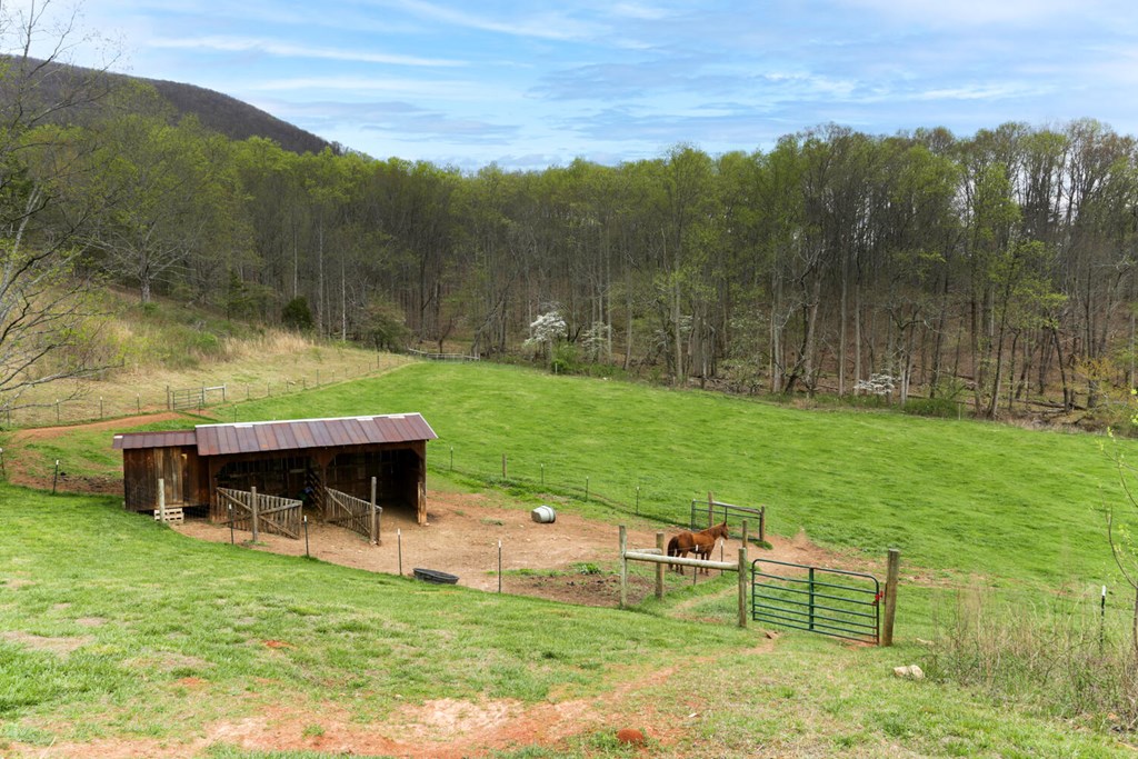 466 Scrougetown Road Ellijay, GA 30536 - Photo 42 of 72 Gallery Image 42