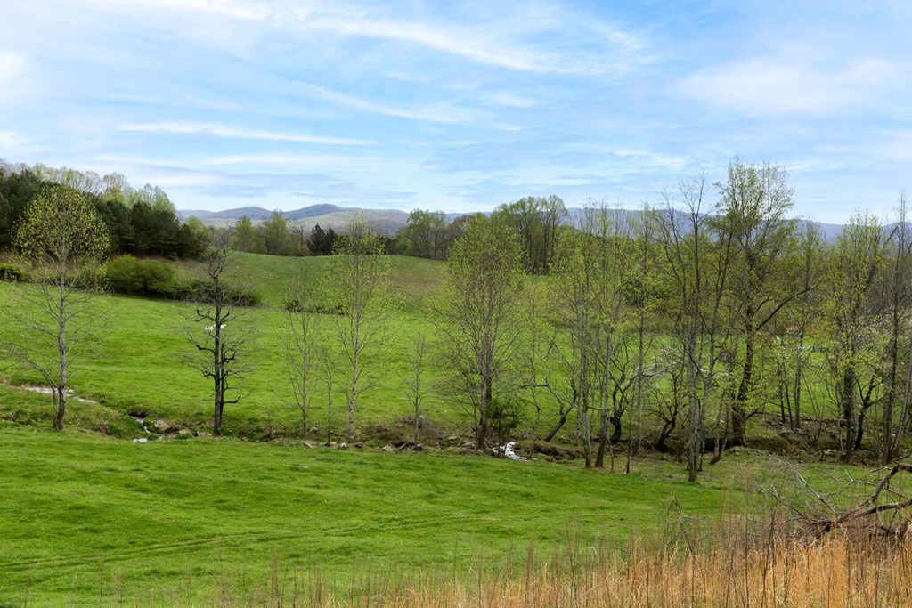 466 Scrougetown Road Ellijay, GA 30536 - Photo 43 of 72 Gallery Image 43