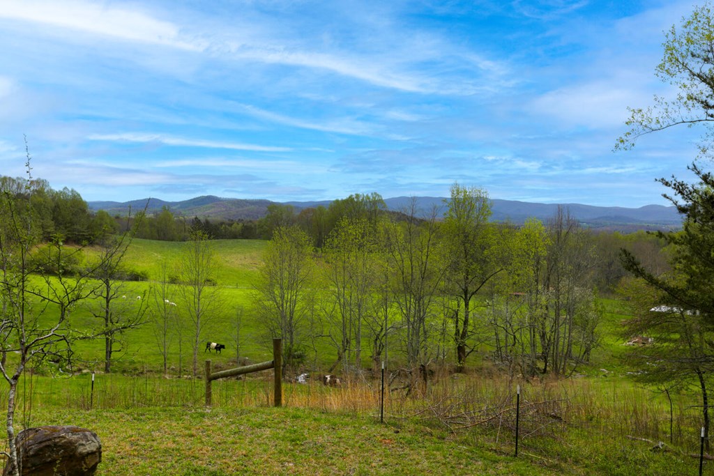 466 Scrougetown Road Ellijay, GA 30536 - Photo 46 of 72 Gallery Image 46