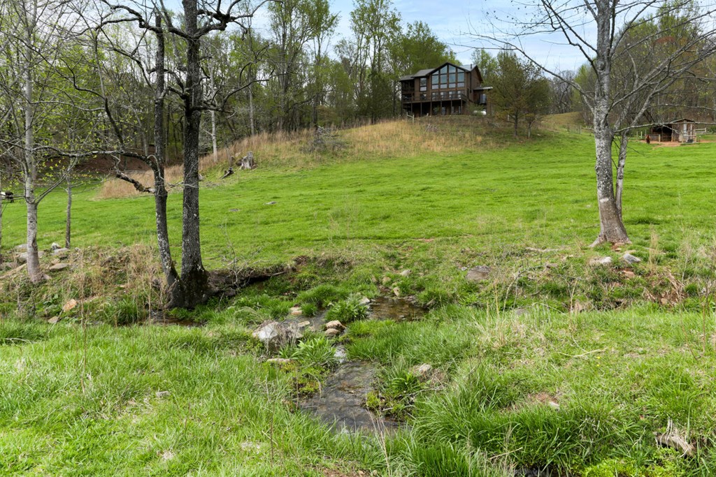 466 Scrougetown Road Ellijay, GA 30536 - Photo 50 of 72 Gallery Image 50