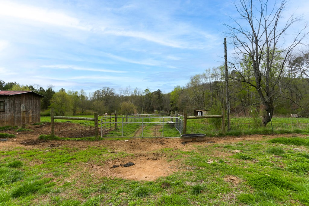 466 Scrougetown Road Ellijay, GA 30536 - Photo 52 of 72 Gallery Image 52