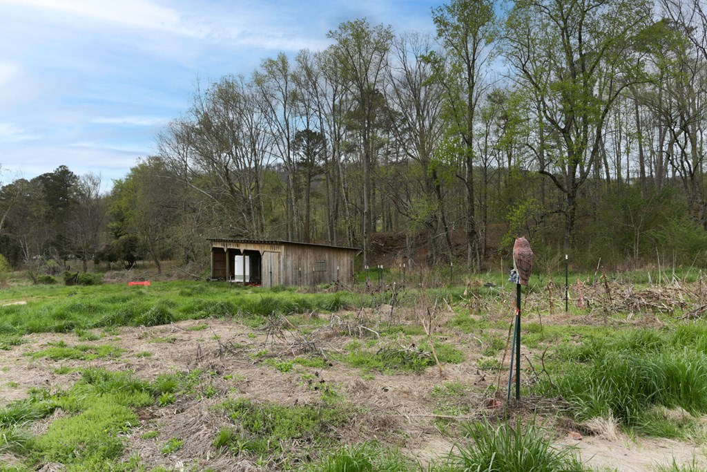 466 Scrougetown Road Ellijay, GA 30536 - Photo 53 of 72 Gallery Image 53